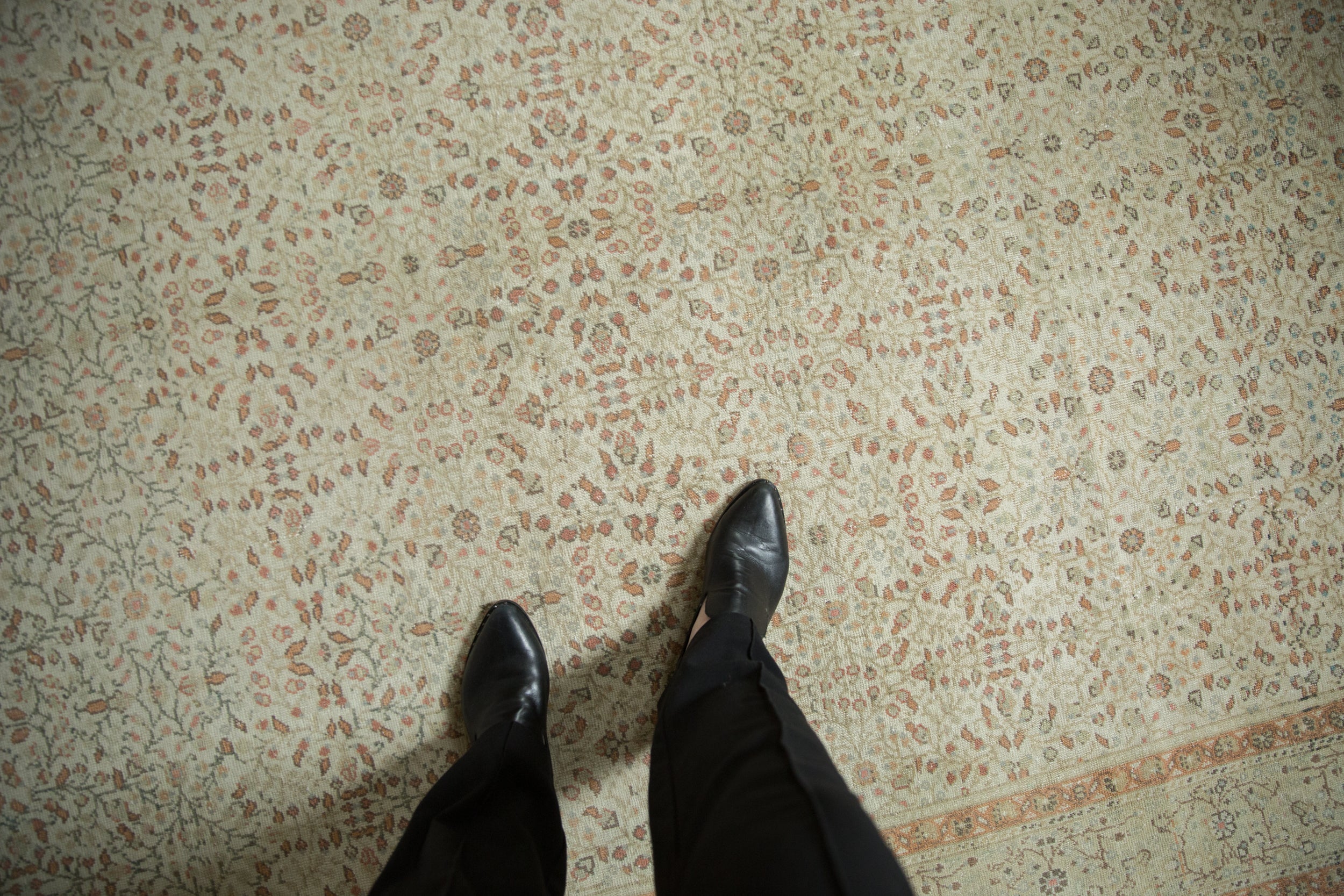6.5x9.5 Vintage Distressed Kayseri Carpet by Old New House® - product image 2 for Resin Society