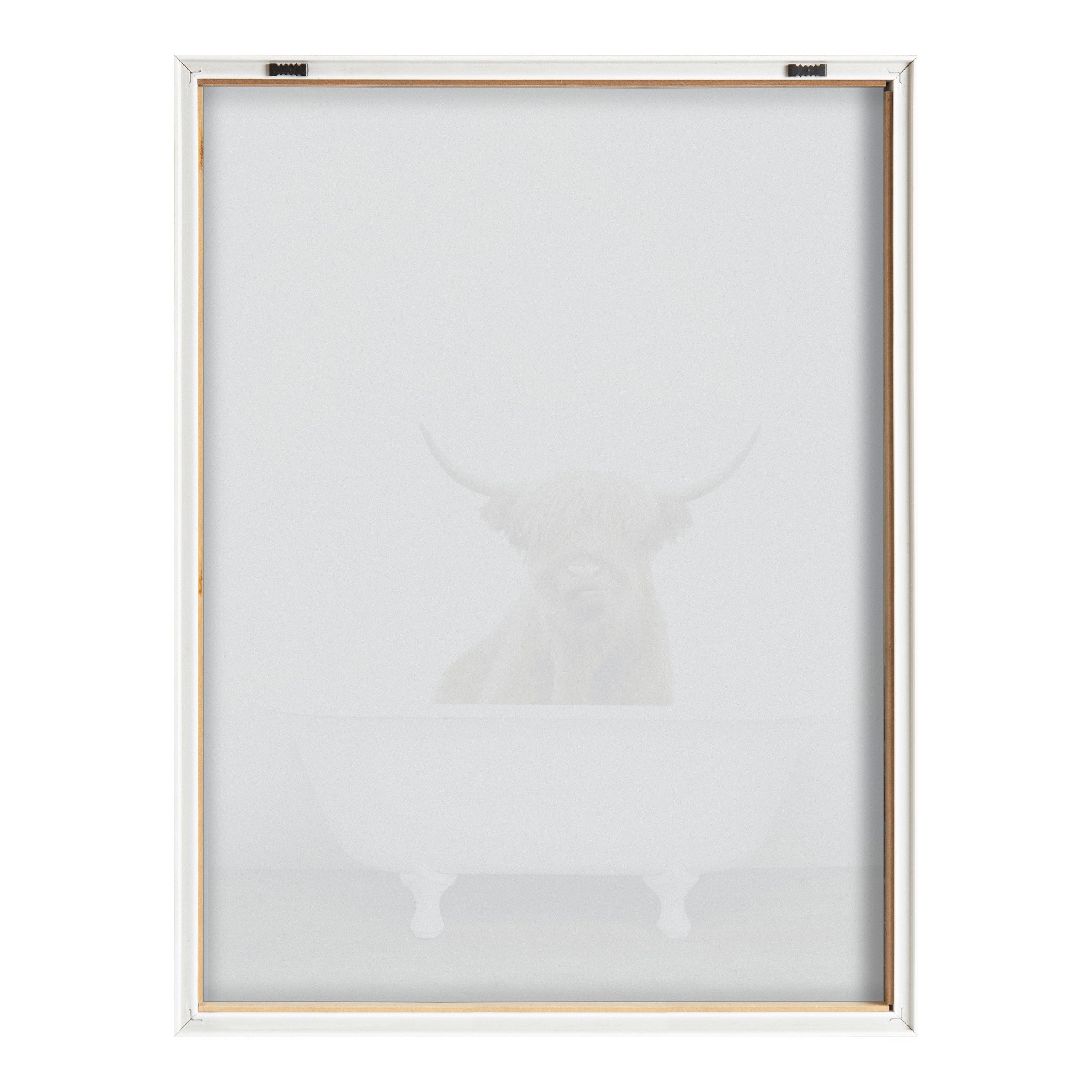 Blake Highland Cow in Tub Color Framed Printed Glass