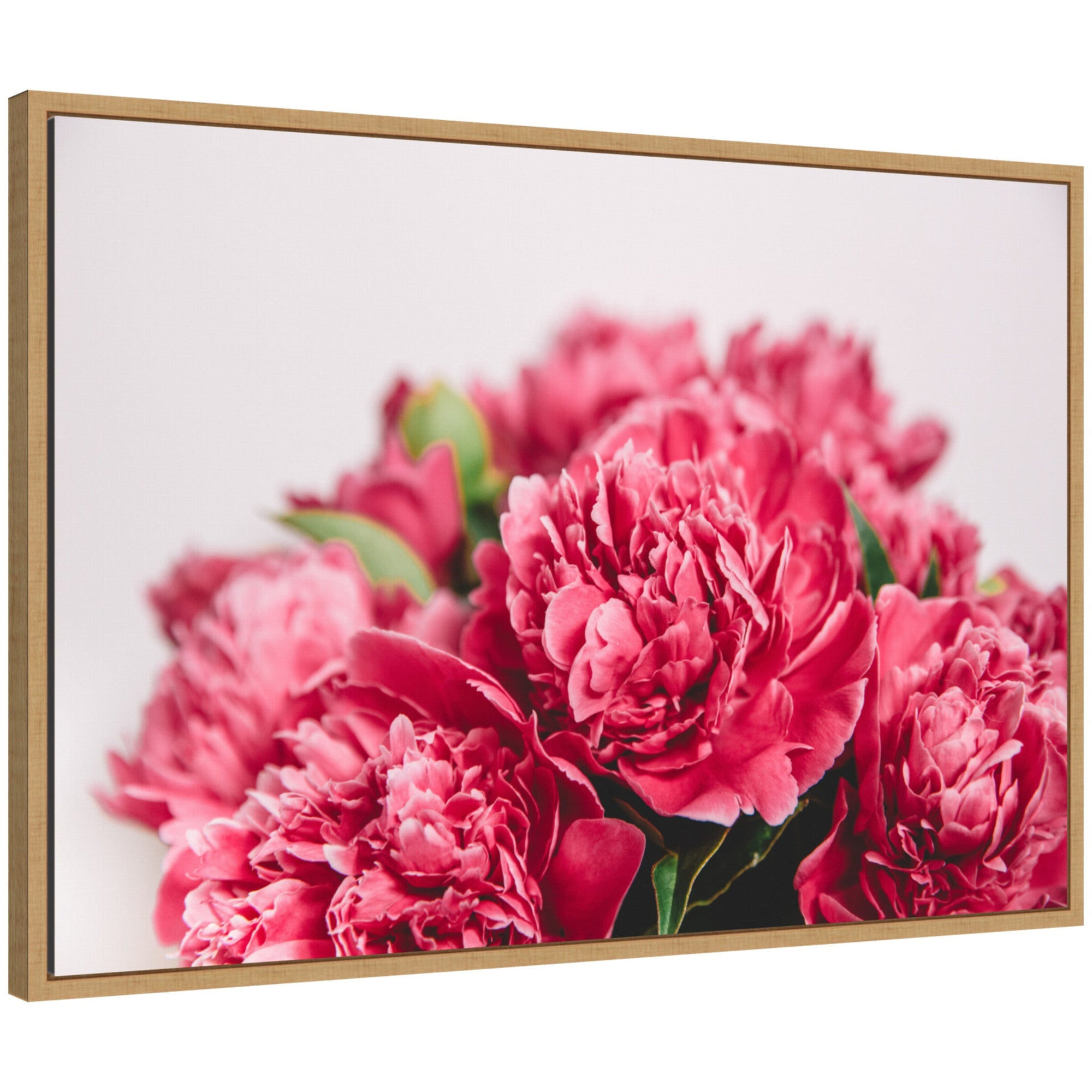 Framed canvas featuring bright pink flowers by Patricia Hasz