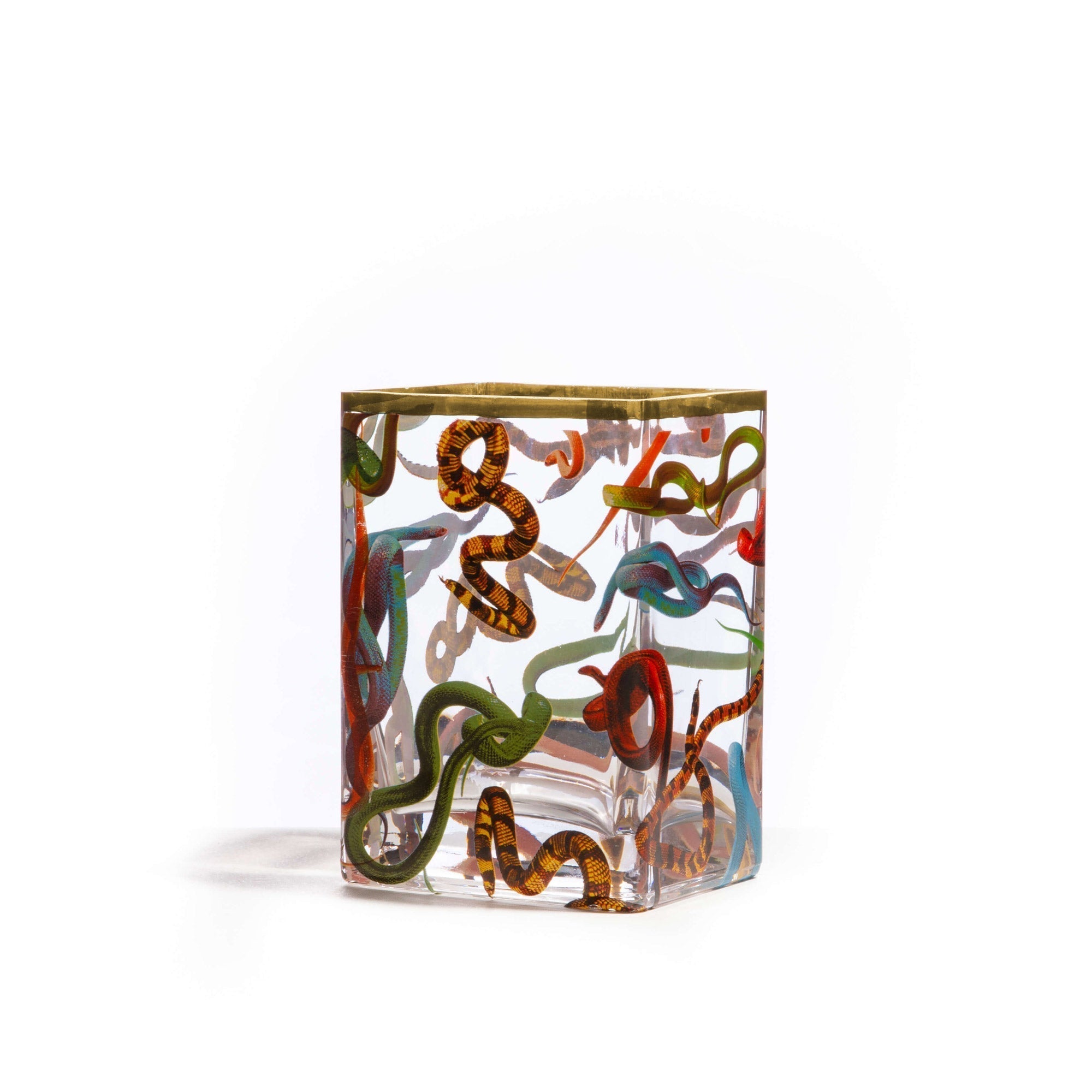 Glass Vase Snakes detail image - Resin Society