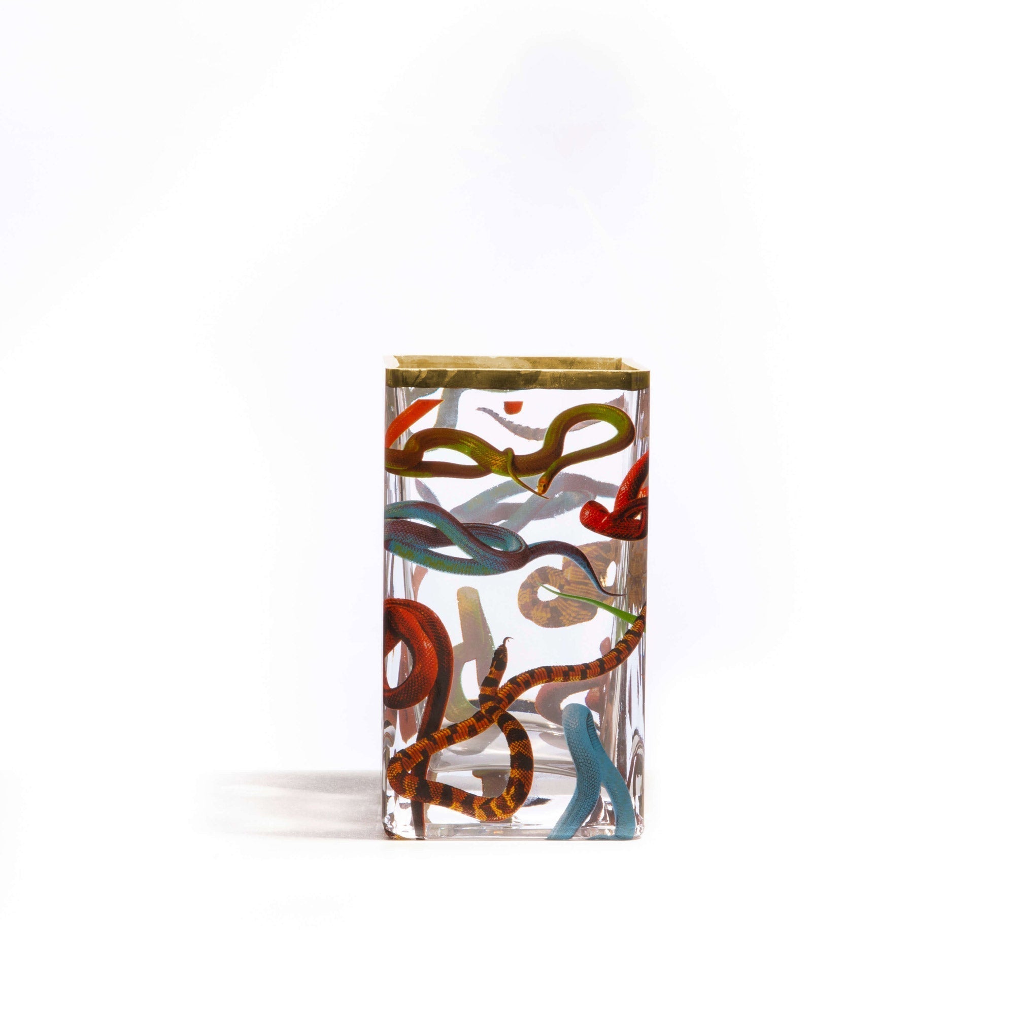 Glass Vase Snakes detail image - Resin Society