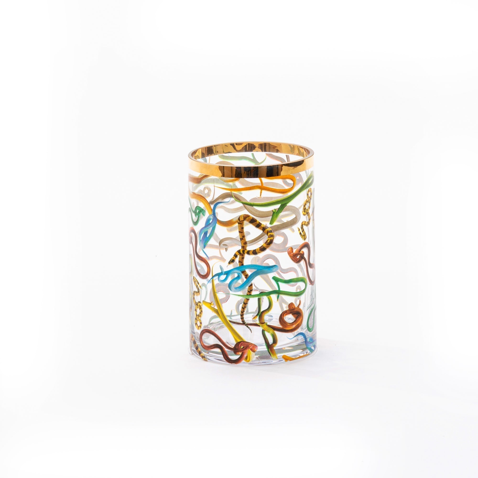 Glass Vase Snakes Cylindrical small detail image - Resin Society