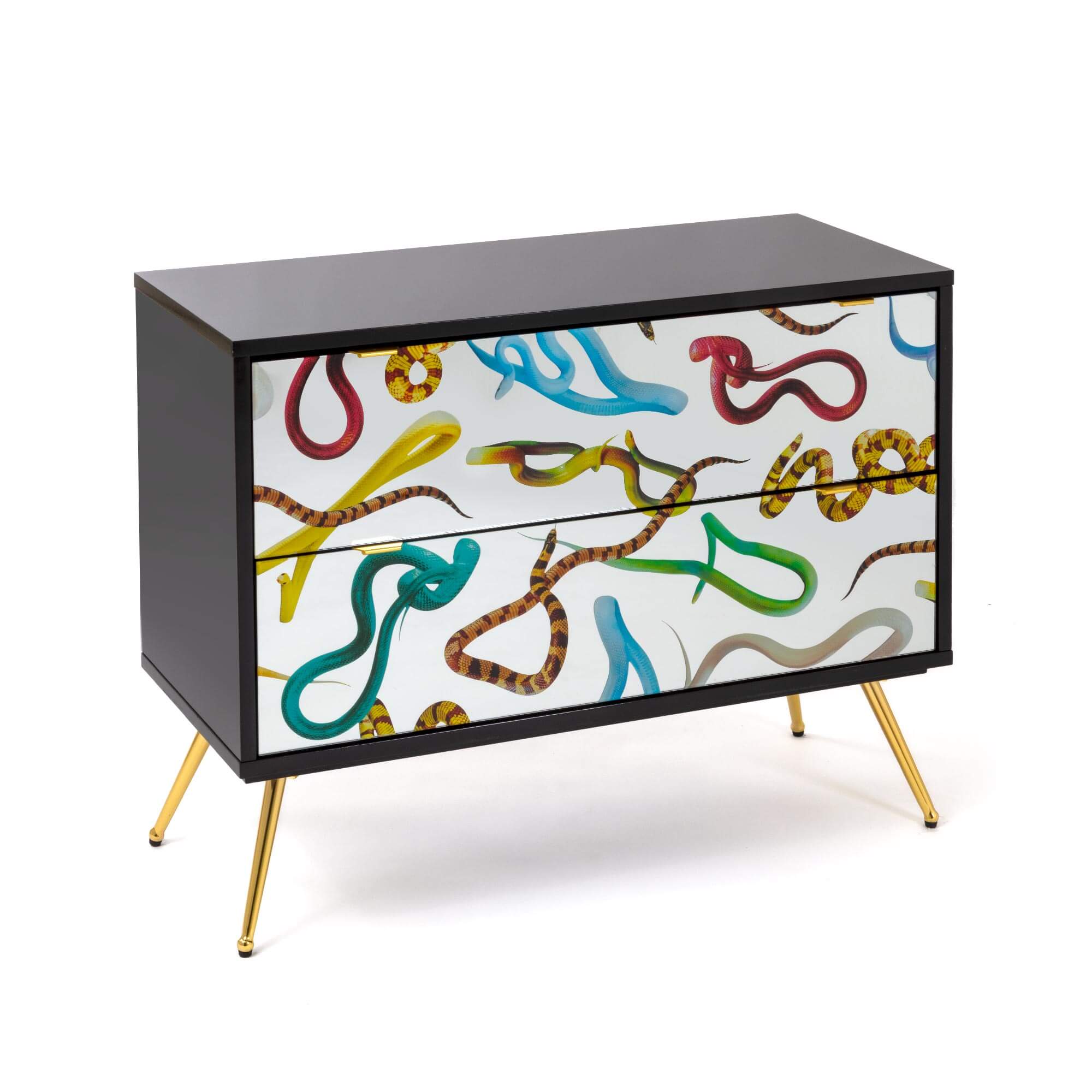 Chest of Two Drawers Snakes detail image - Resin Society