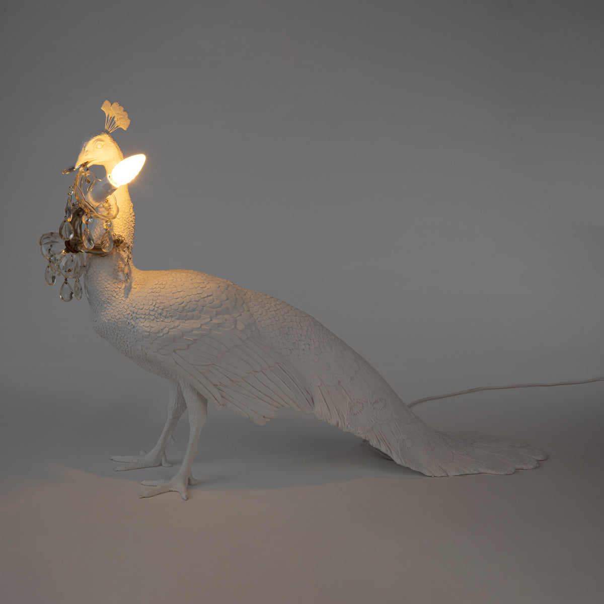 Peacock Led Lamp by DEKOR - product image 2 for Resin Society