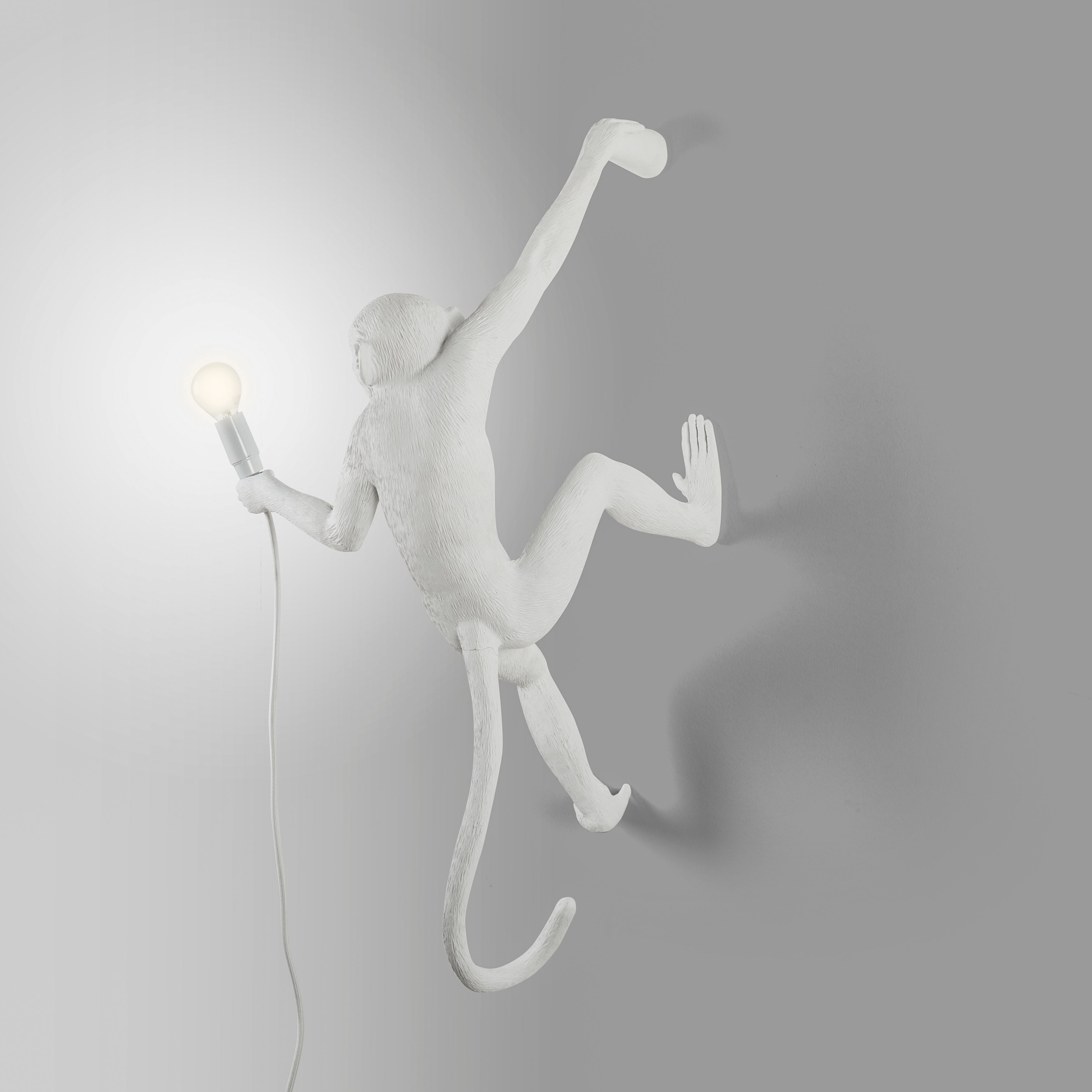 The Monkey Lamp Hanging Version Right Indoor by DEKOR - product image 5 for Resin Society