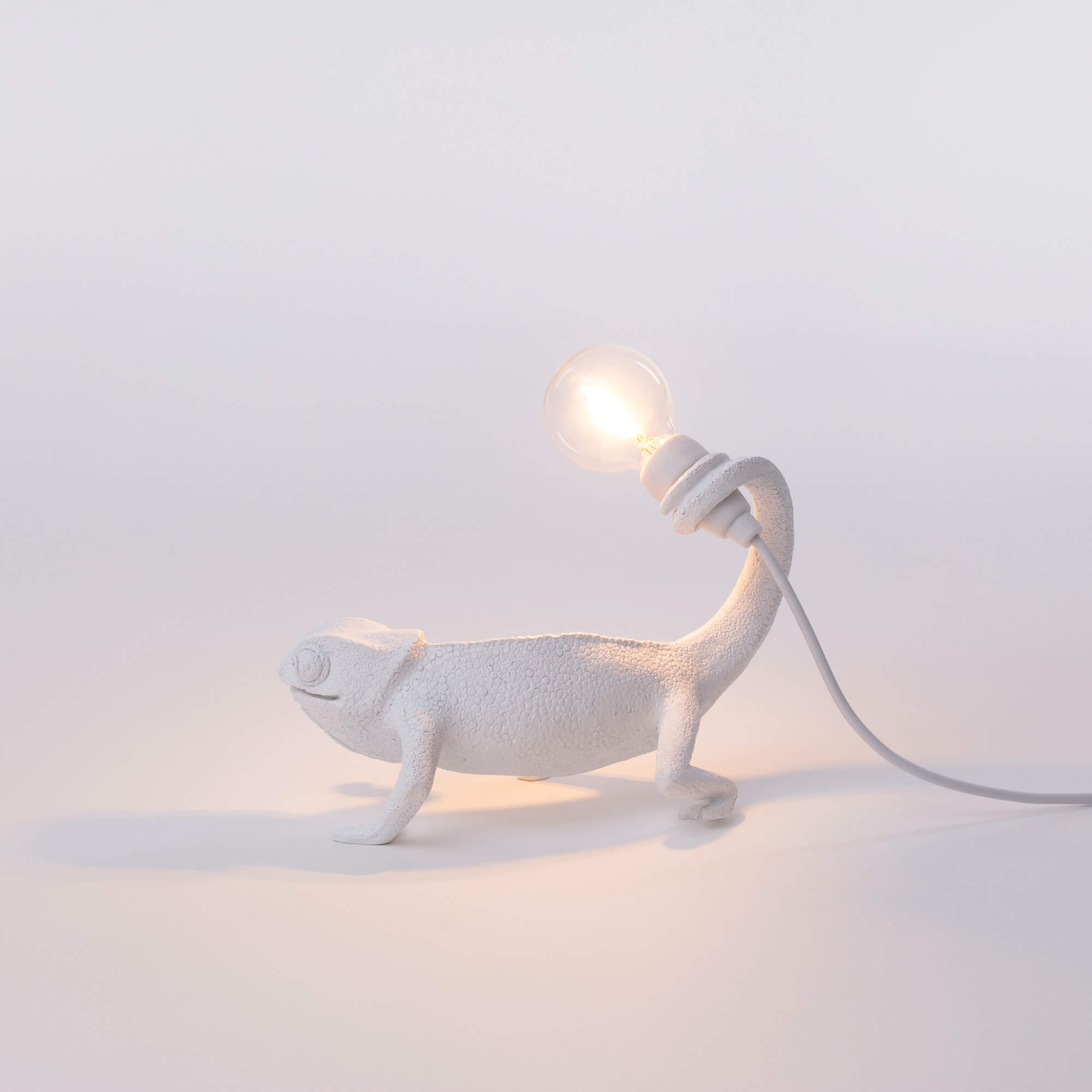 Chameleon Lamp Still detail image - Resin Society