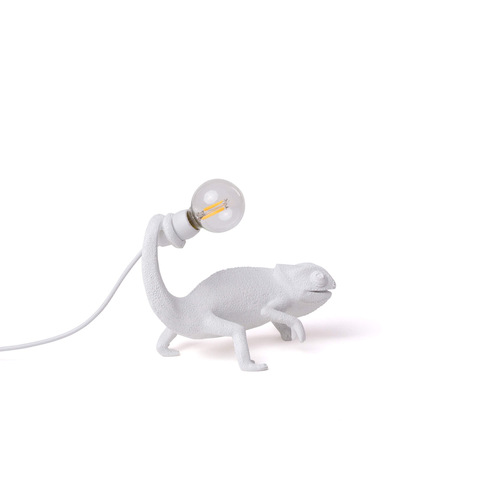 Chameleon Lamp Still detail image - Resin Society