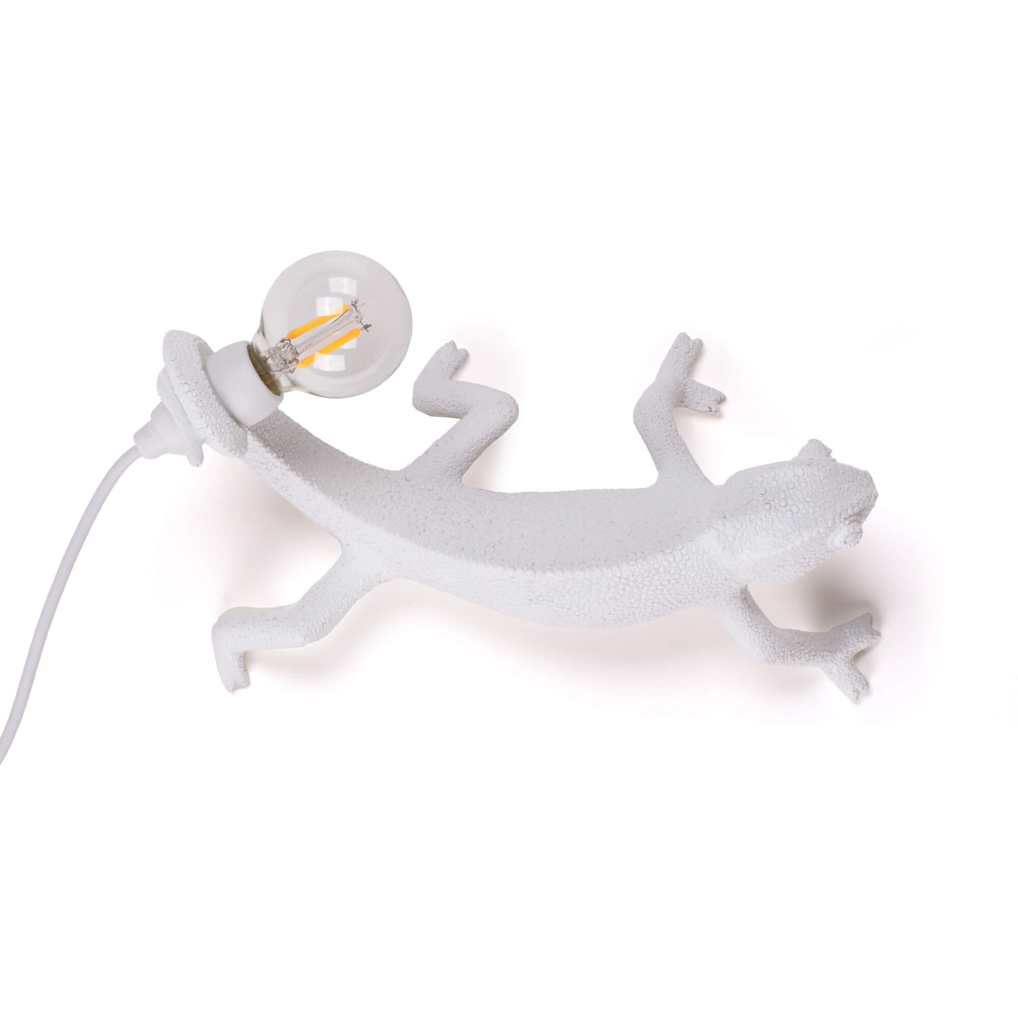 Chameleon Lamp Going Down by DEKOR - Resin Society