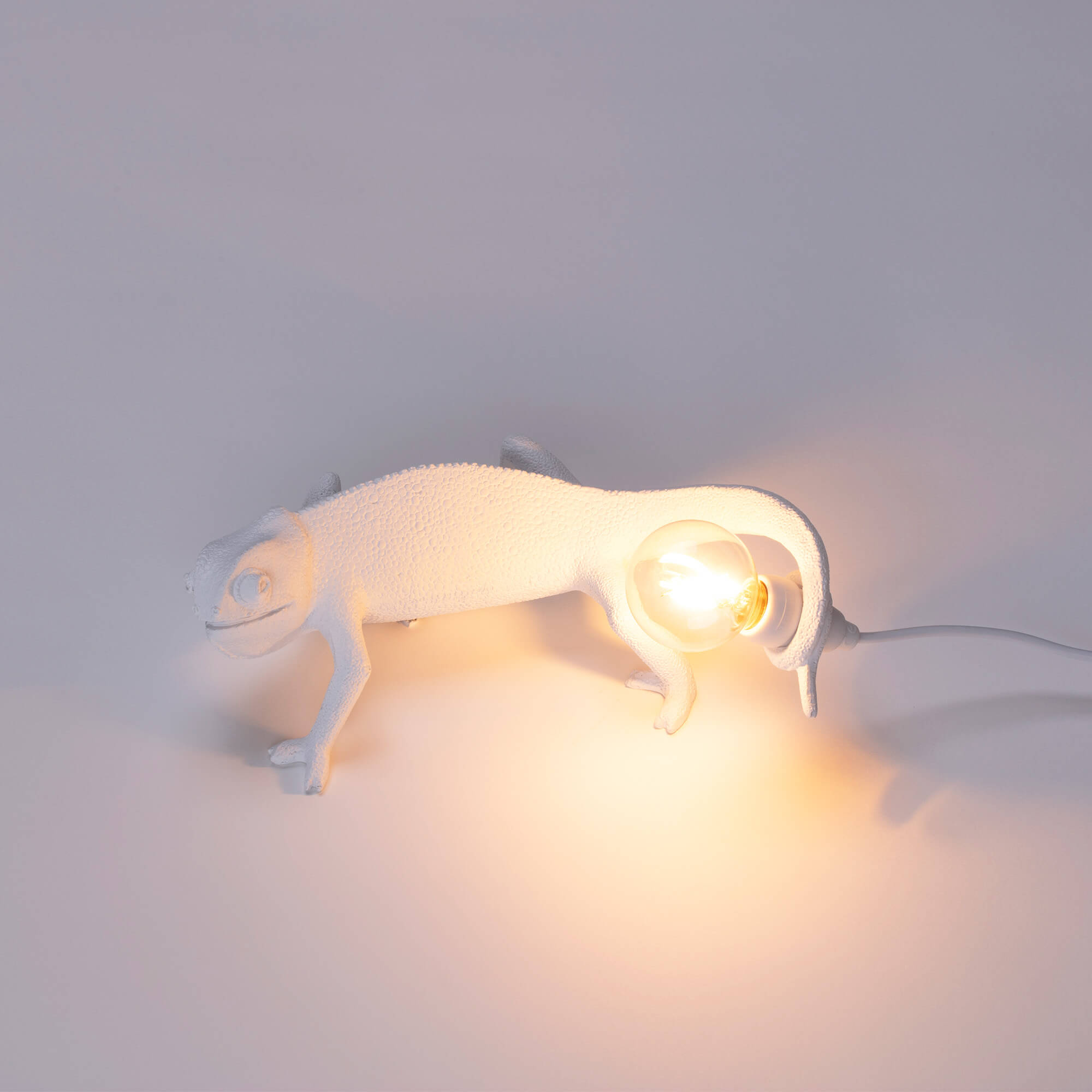 Chameleon Lamp Going Up detail image - Resin Society