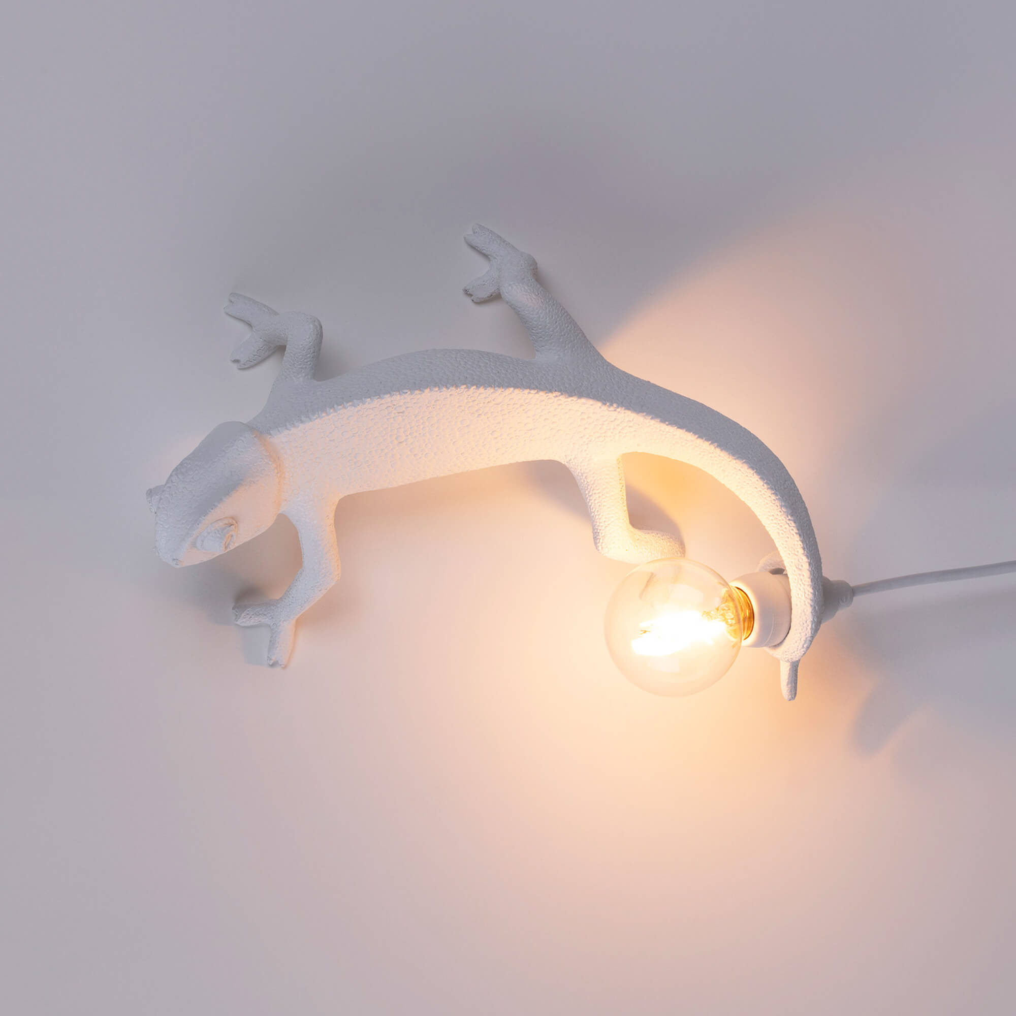 Chameleon Lamp Going Up detail image - Resin Society