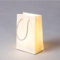 Daily Glow Shopper detail image - Resin Society
