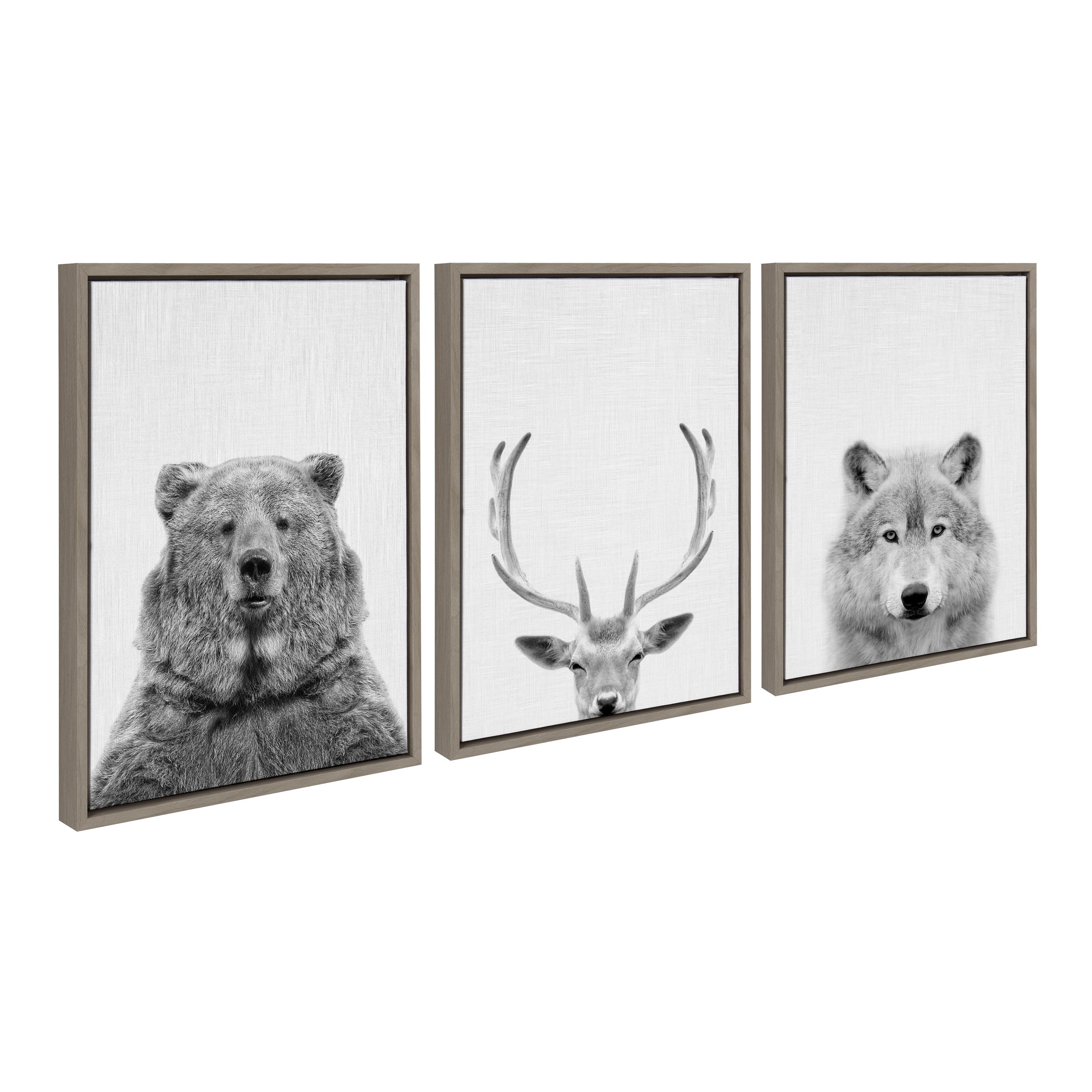 Framed canvas art set depicting bear, deer, and wolf wildlife portraits by Simon Te