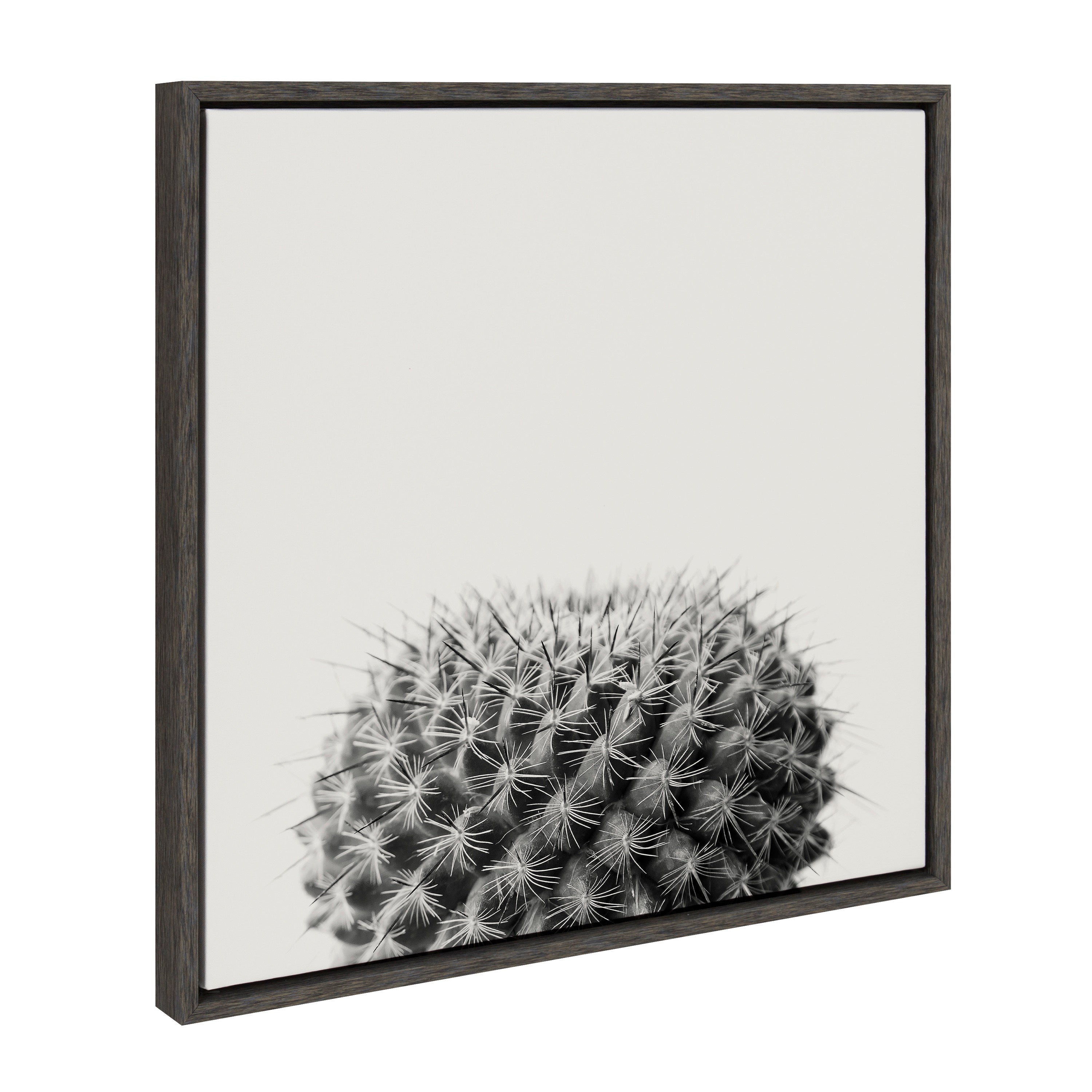 Sylvie Haze Succulent Cactus Short Framed Canvas