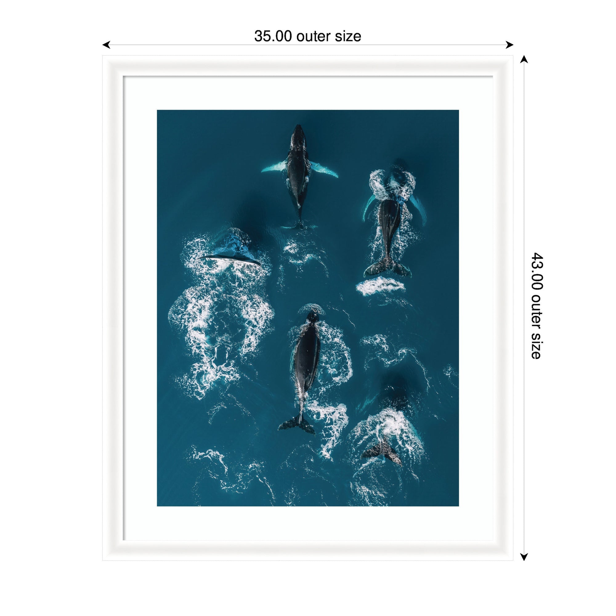 Framed Art School of Humpback Whales in the Blue Ocean by Michael Schauer