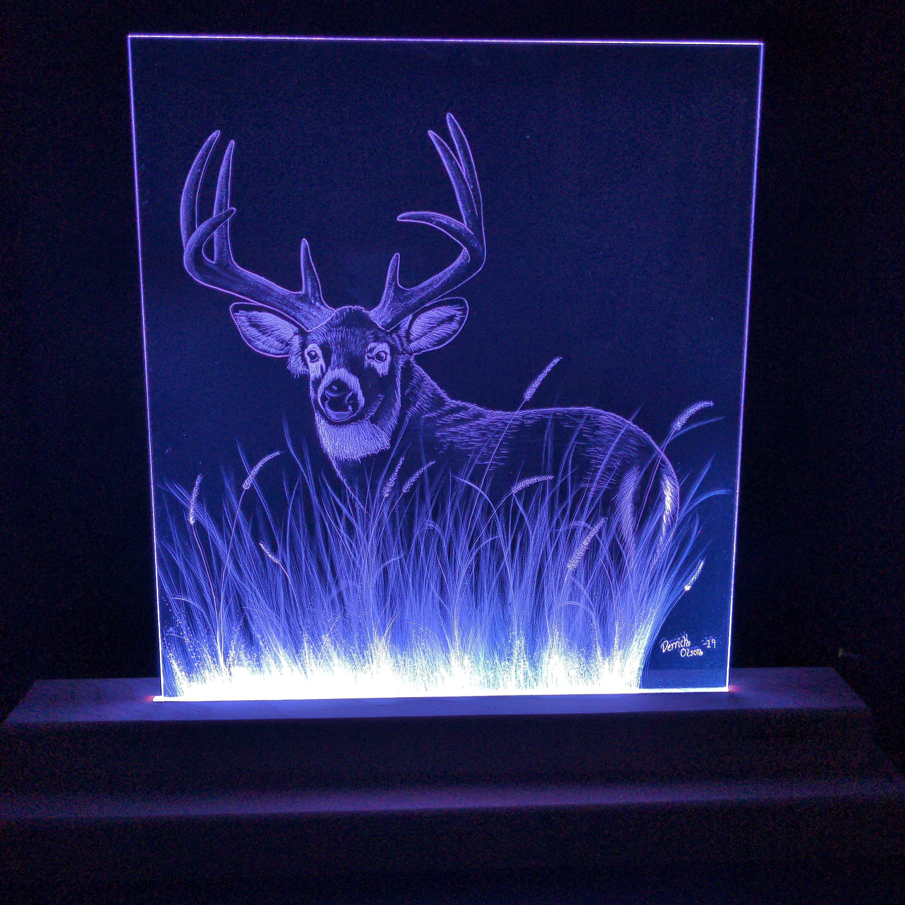 Big Buck laser-cut engraved acrylic design lit by LED light stand from D-Lighted Designs
