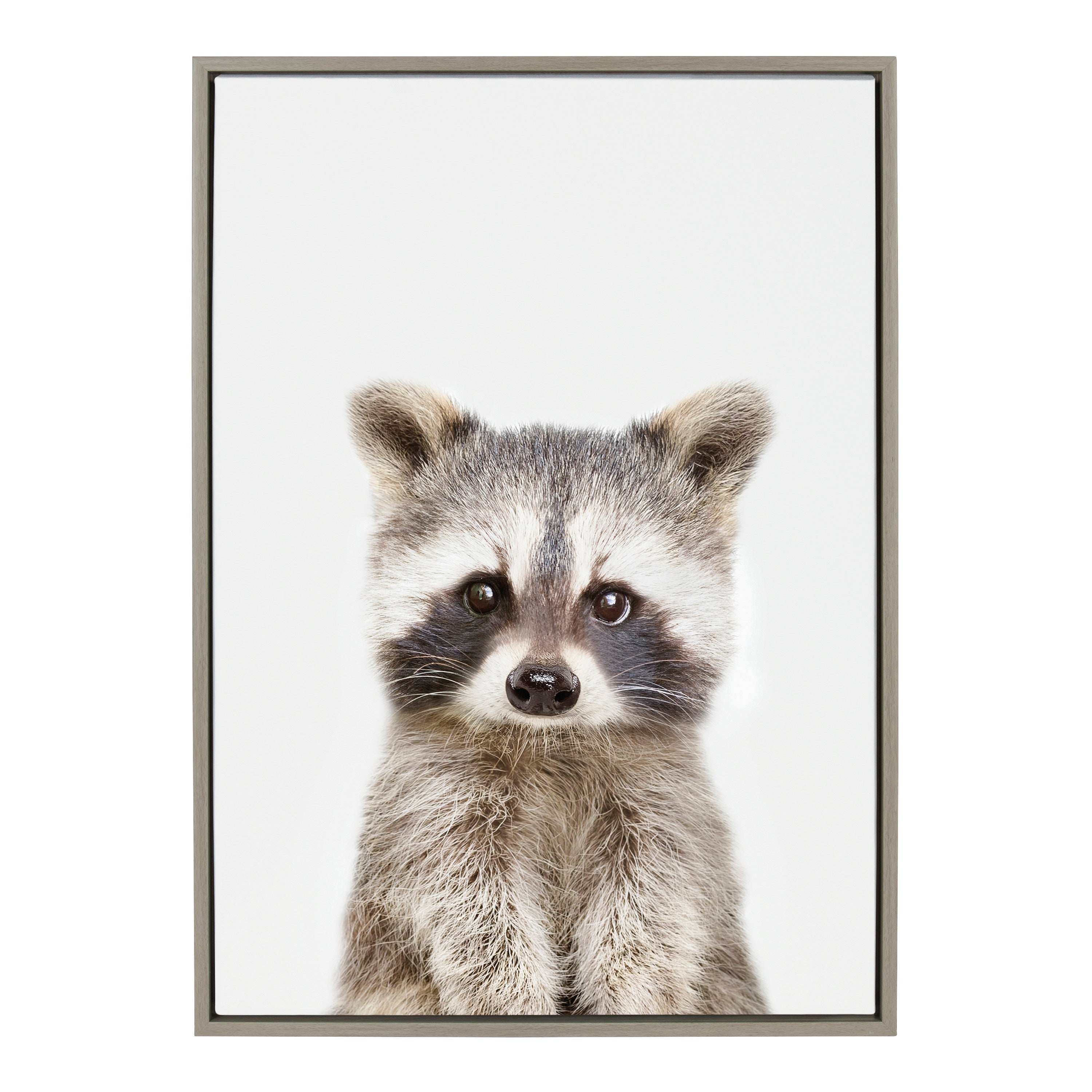 Sylvie Raccoon Framed Canvas by Amy Peterson Art Studio