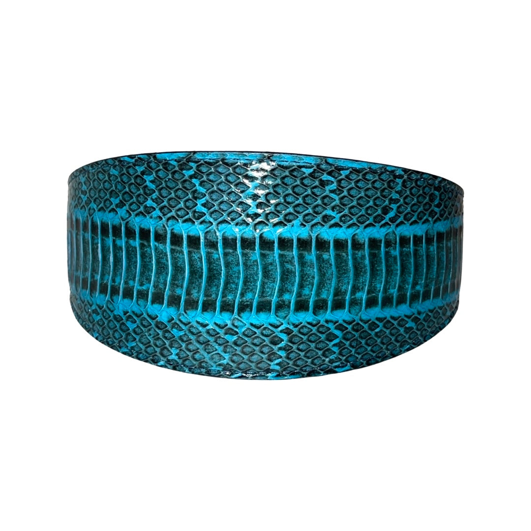 Turquoise & Black 3-inch wide snake pattern collar by Allysa Payne Beverly Hills displayed on a neutral background