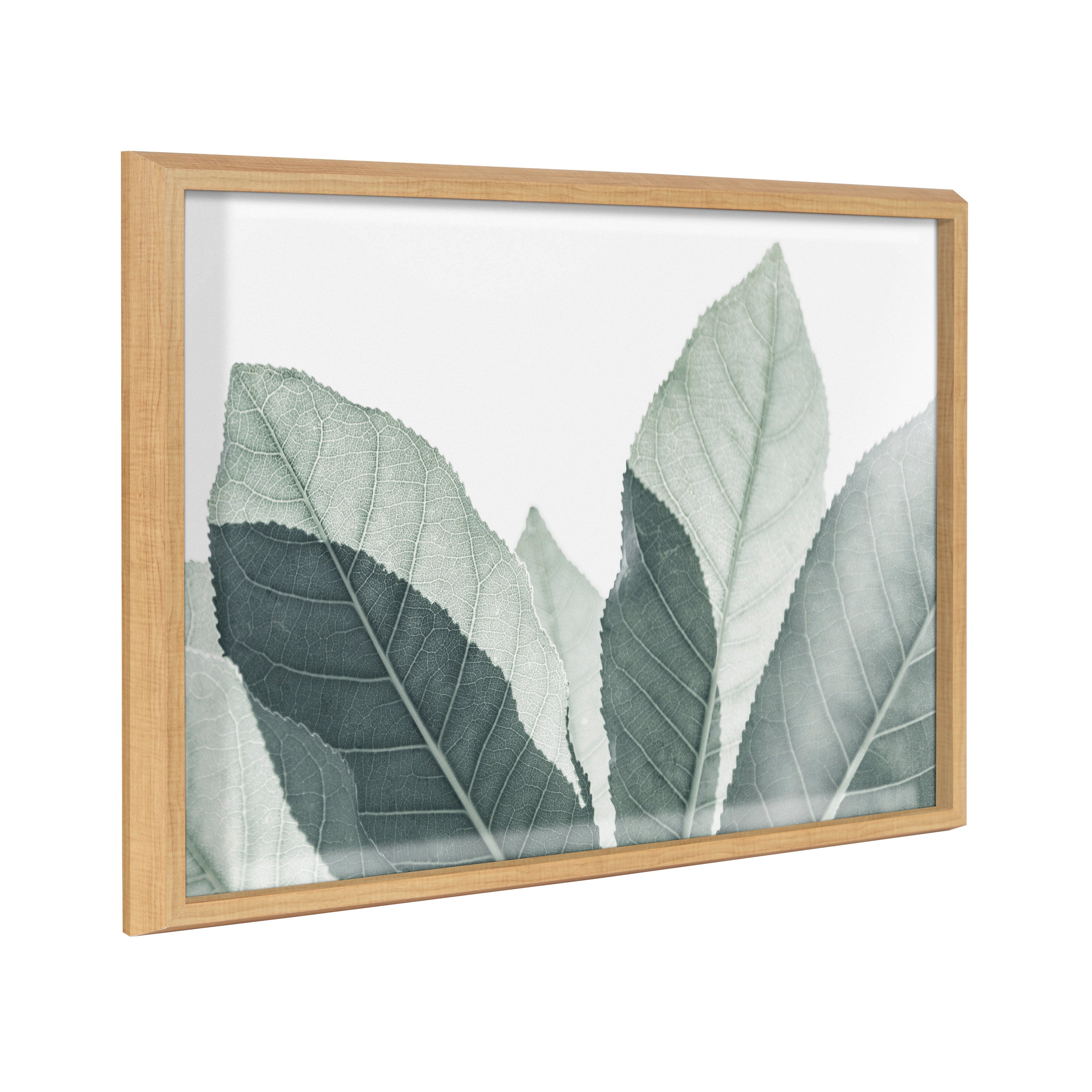 Blake Modern Green Leaf Botanical III Framed Printed Glass by The by kateandlaurel - main product image for Resin Society