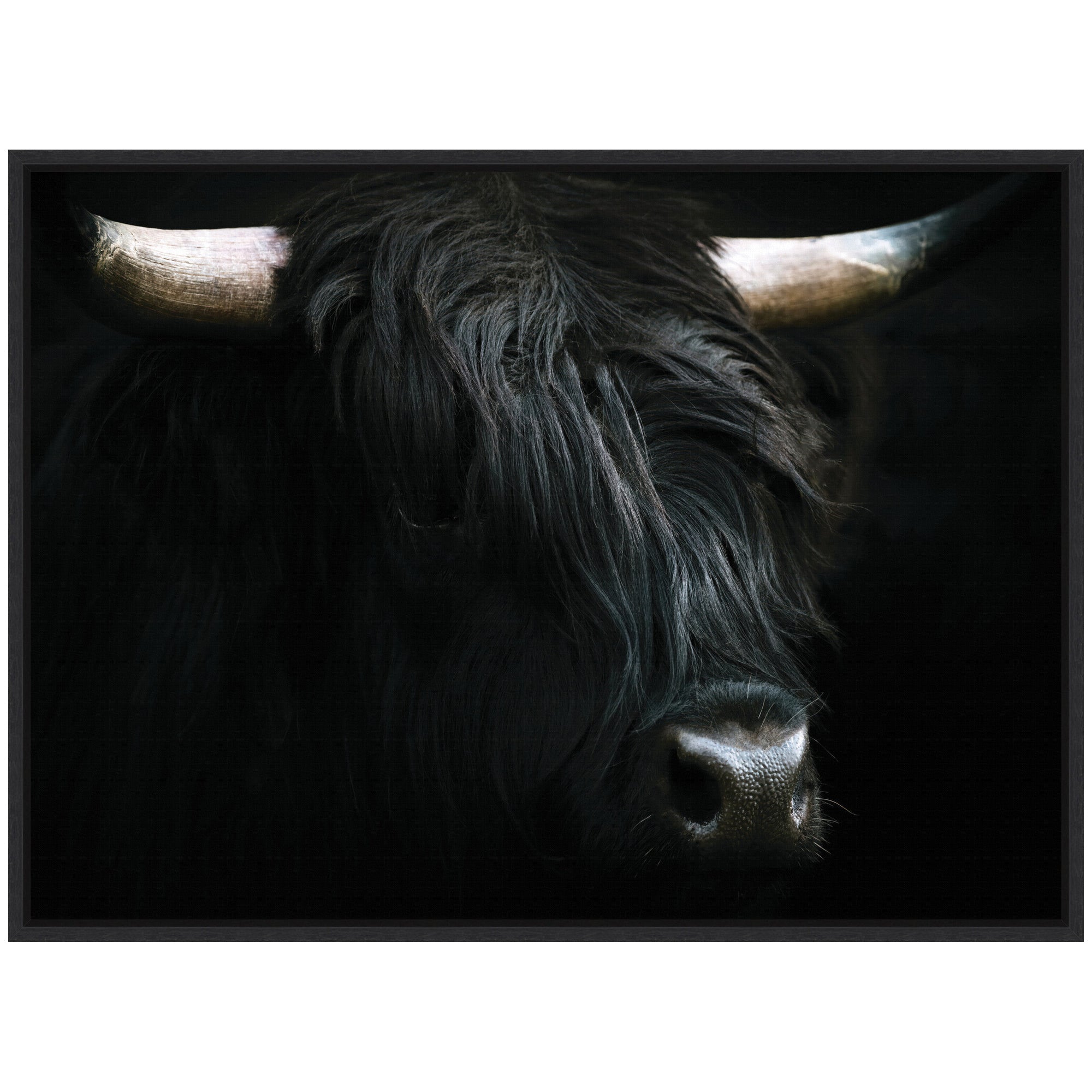 Sylvie Minimalist Black Highland Cow Framed Canvas by Michael Schauer