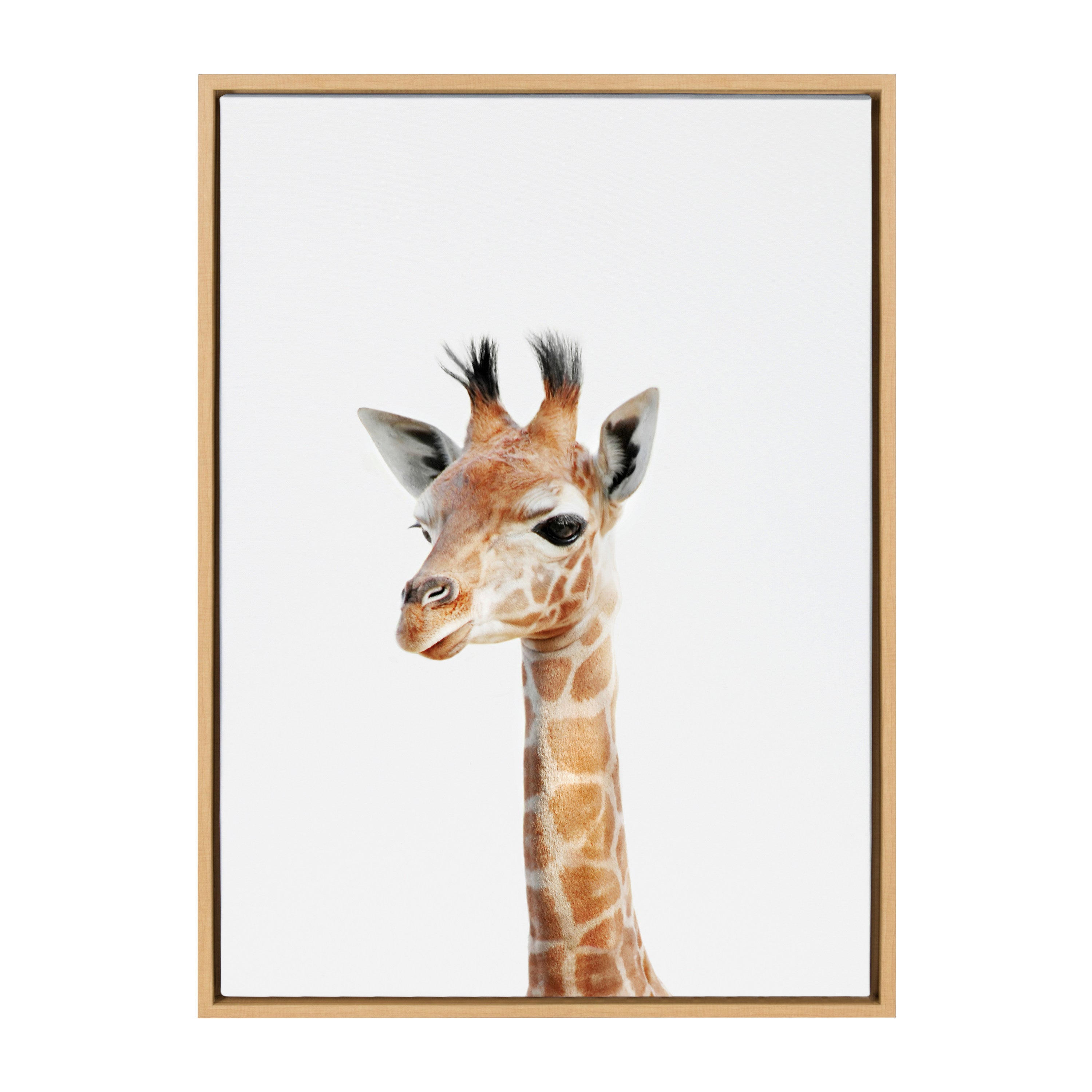 Sylvie Baby Giraffe Framed Canvas by Amy Peterson by kateandlaurel - product image 9 for Resin Society
