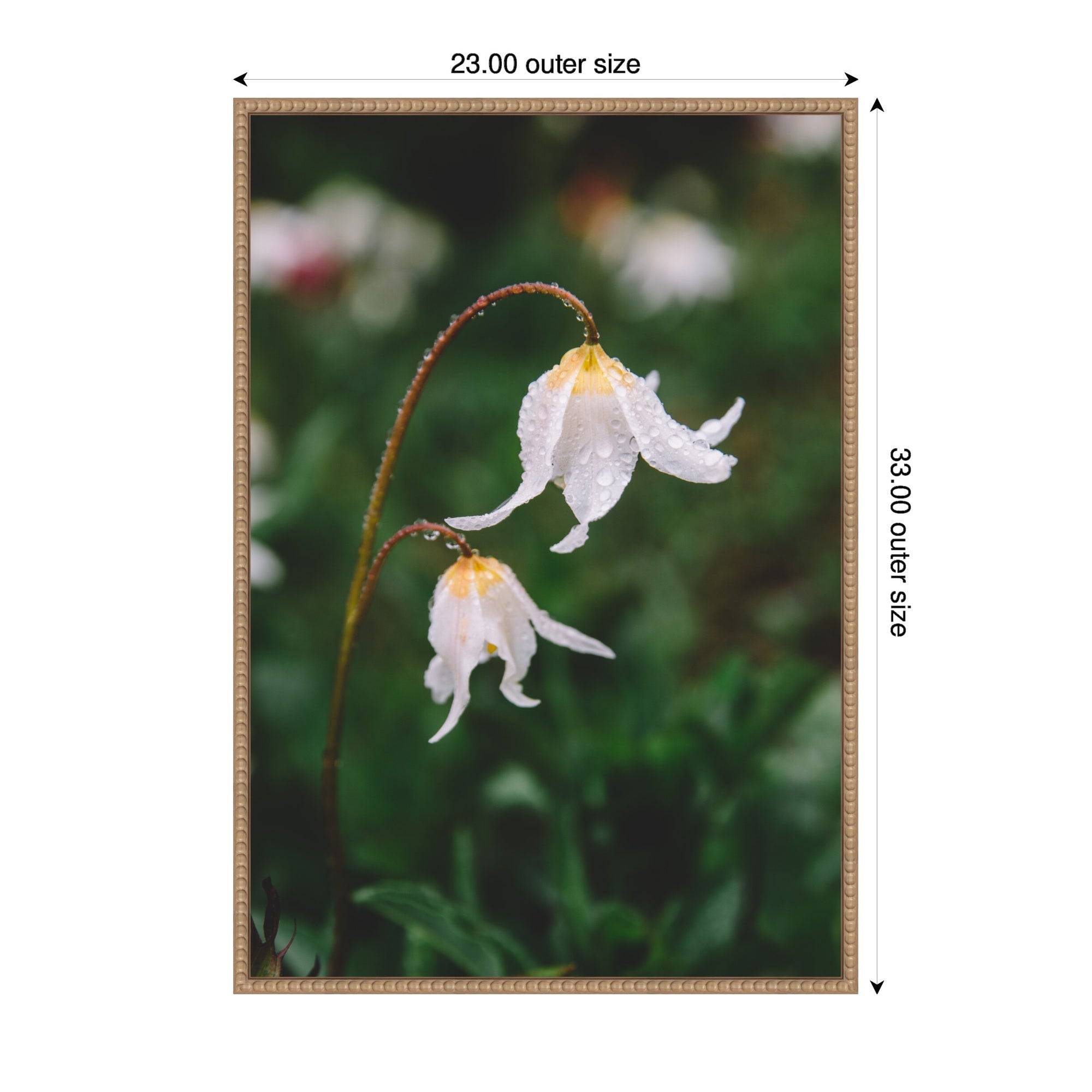Sylvie Delicate White Floral Petals Framed Canvas by Patricia Hasz