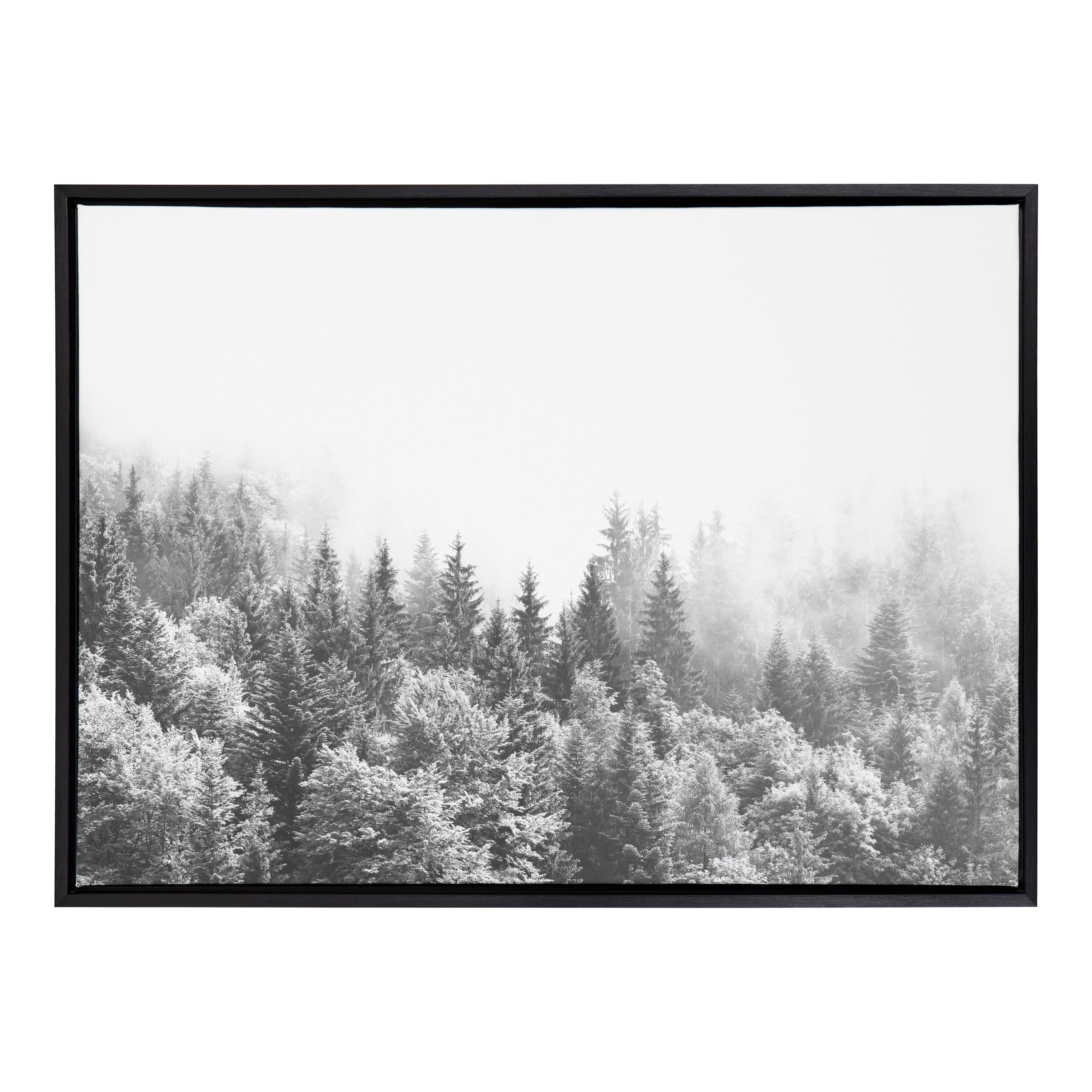 Sylvie Forest On A Foggy Day BW Framed Canvas