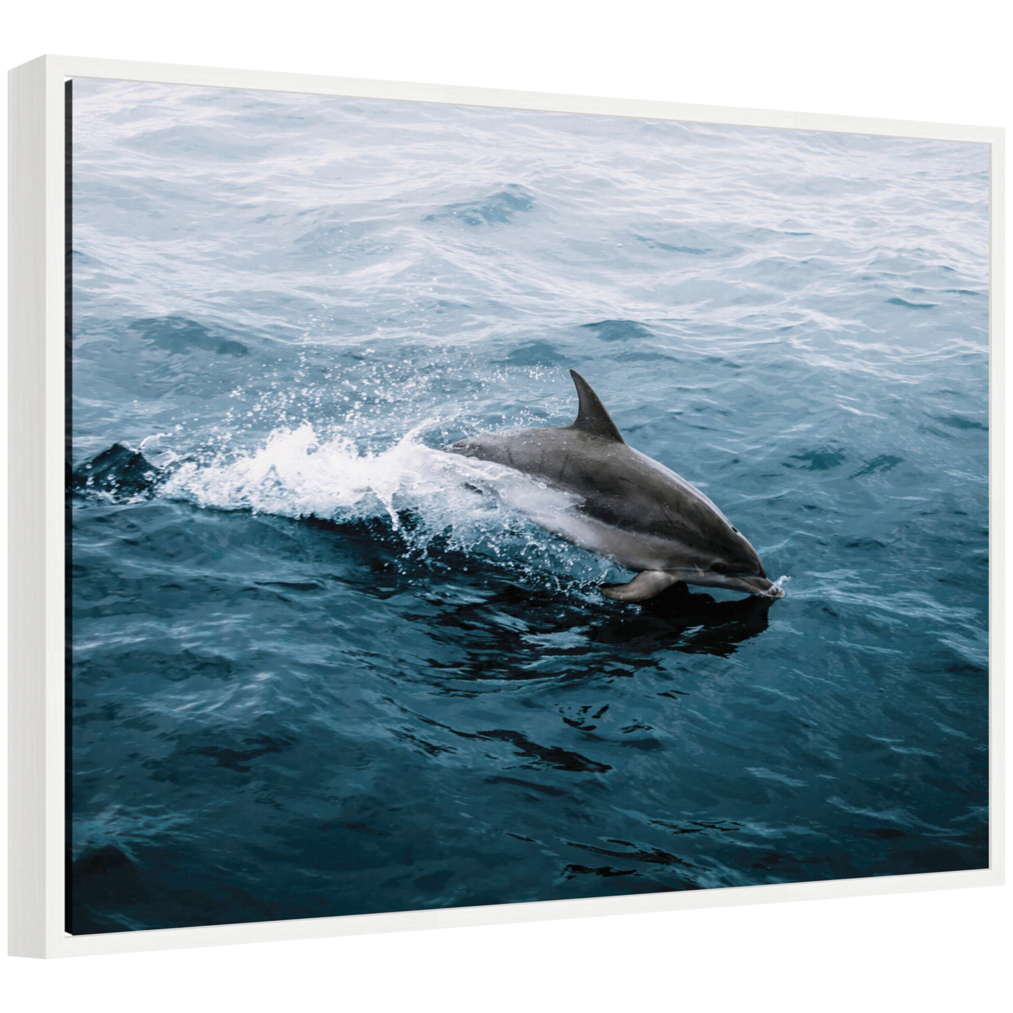 Framed canvas artwork depicting a dolphin skipping along ocean waves by Michael Schauer