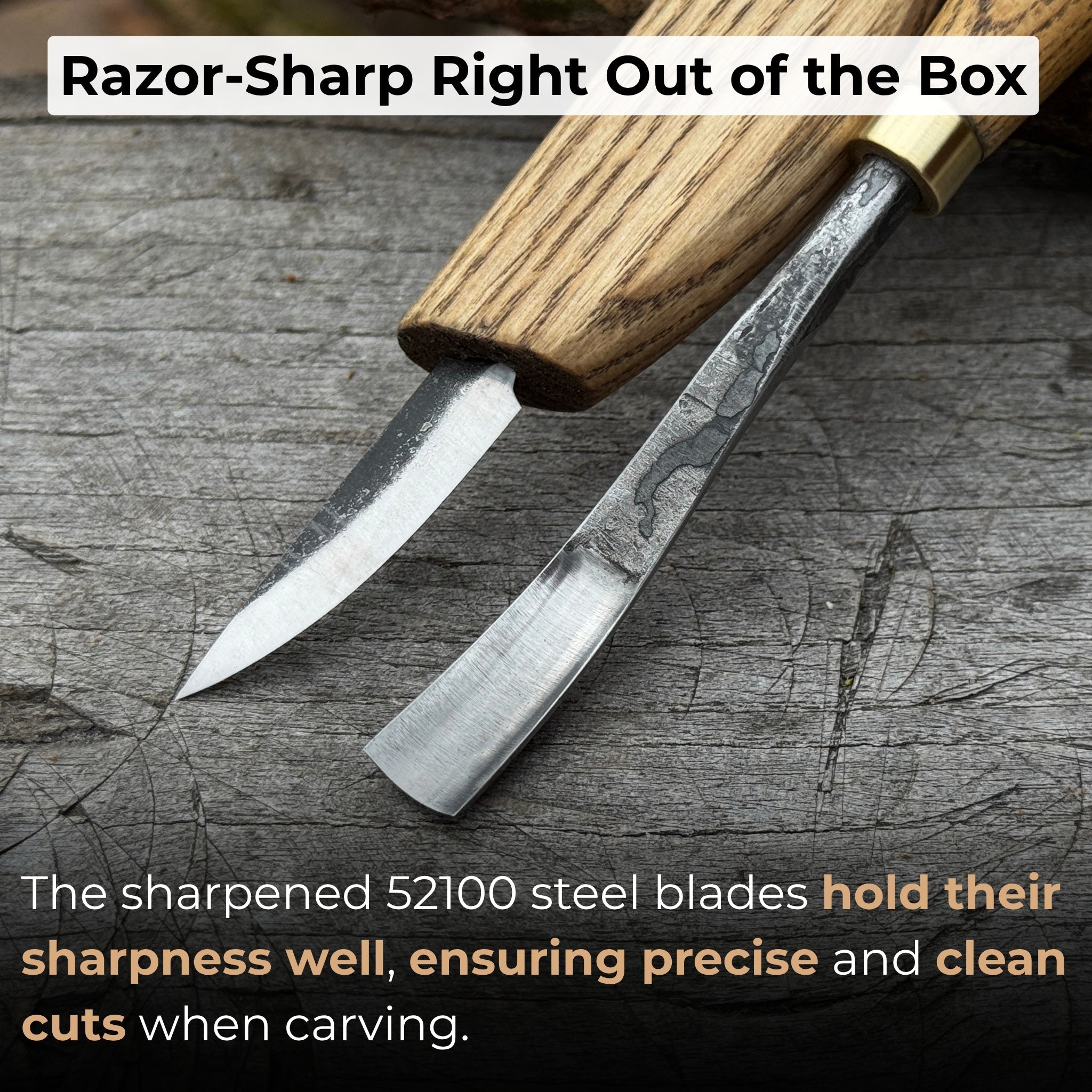 2-Piece Wood Carving Set with whittling knife and curved gouge by Sharky Forged Steel Tools
