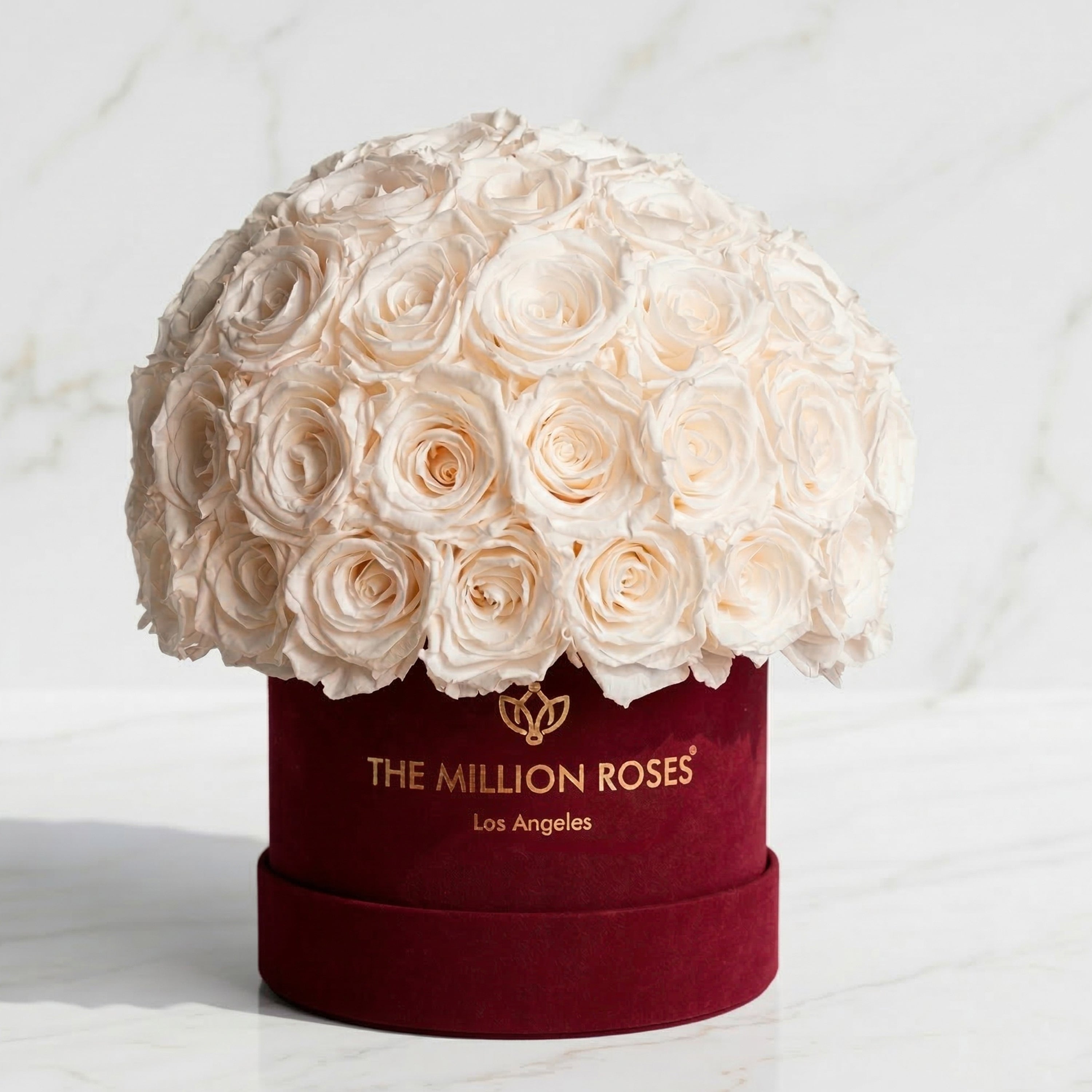 Classic Bordeaux Suede Superdome Box by The Million Roses - product image 2 for Resin Society