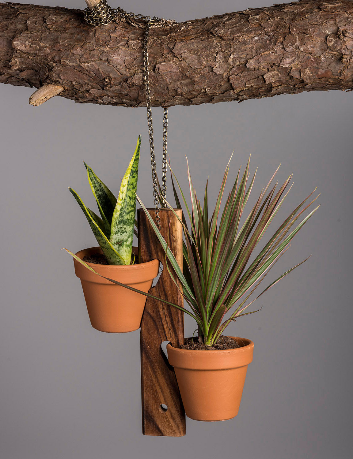 6 Pot Hanging Plant Holder - 3 piece set by Kalmar Home - product image 7 for Resin Society