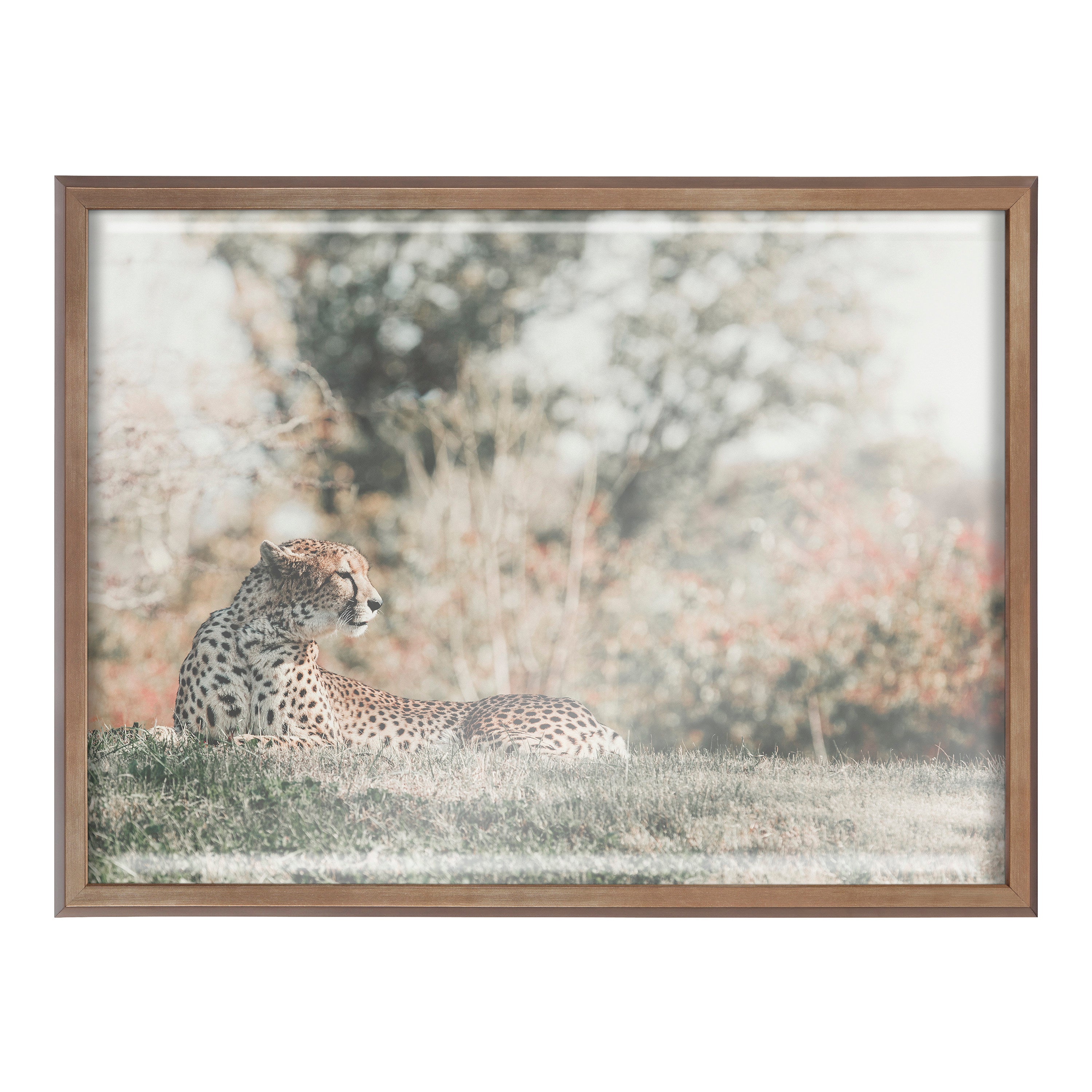 Blake Cheetah Framed Printed Glass by Alicia Abla by kateandlaurel - product image 2 for Resin Society