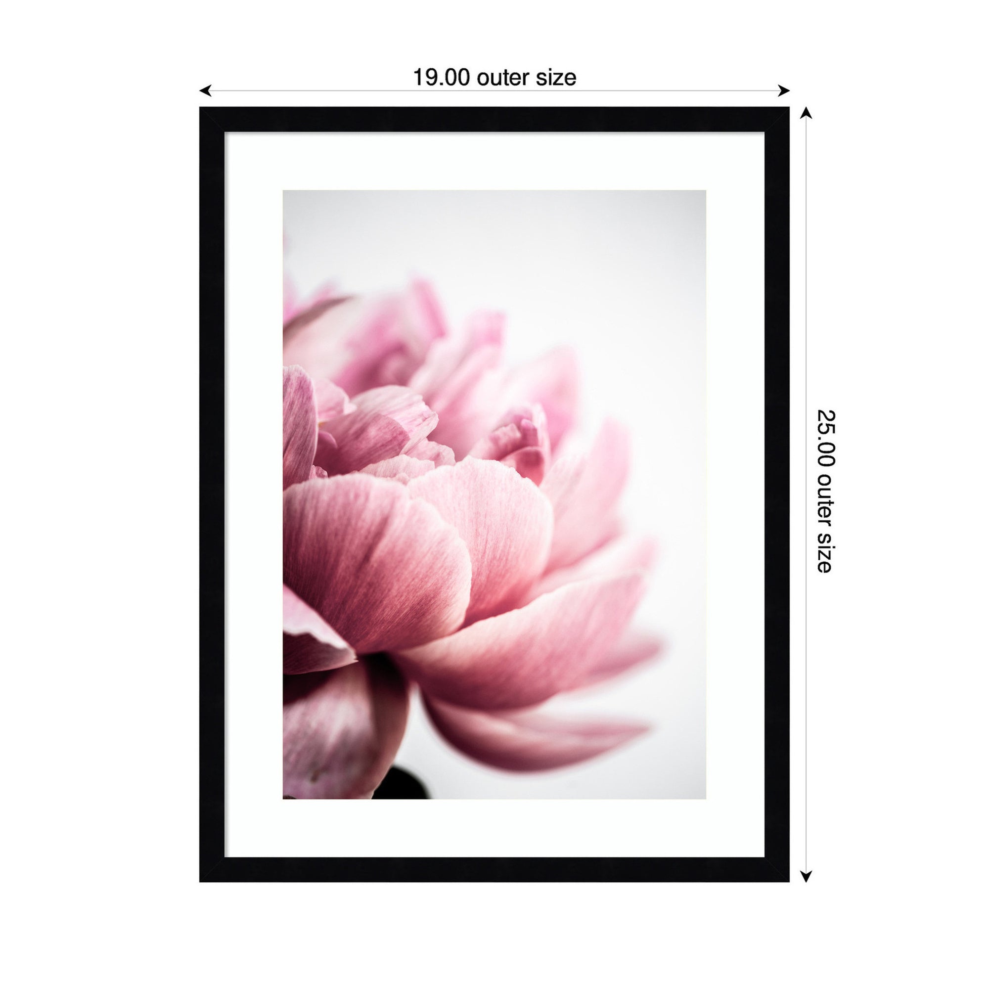 Pink Peony No1 by Mareike Bohmer Framed Wall Art Print