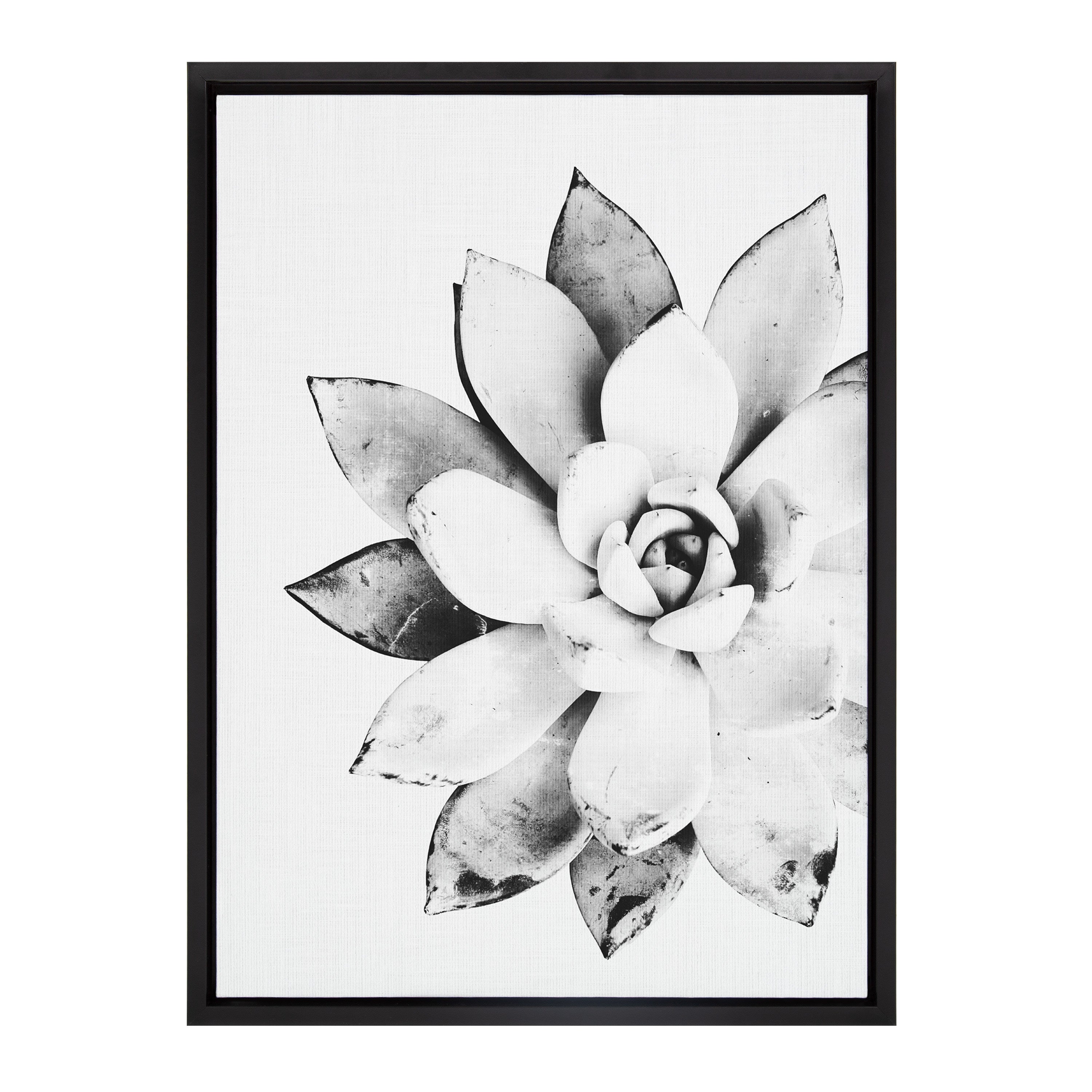 Sylvie Succulent Framed Canvas by Simon Te of Tai Prints