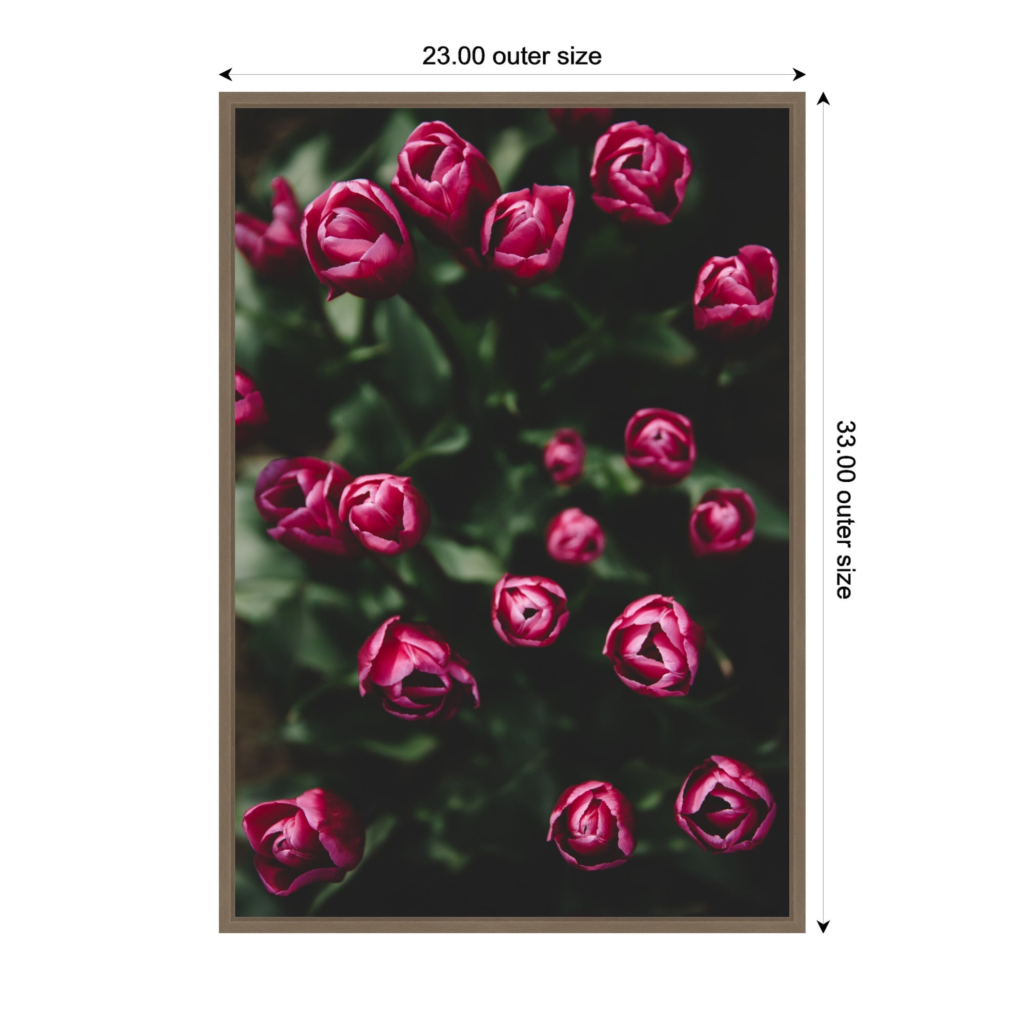Sylvie Moody Dark Pink Tulips in Bloom Framed Canvas by Patricia Hasz