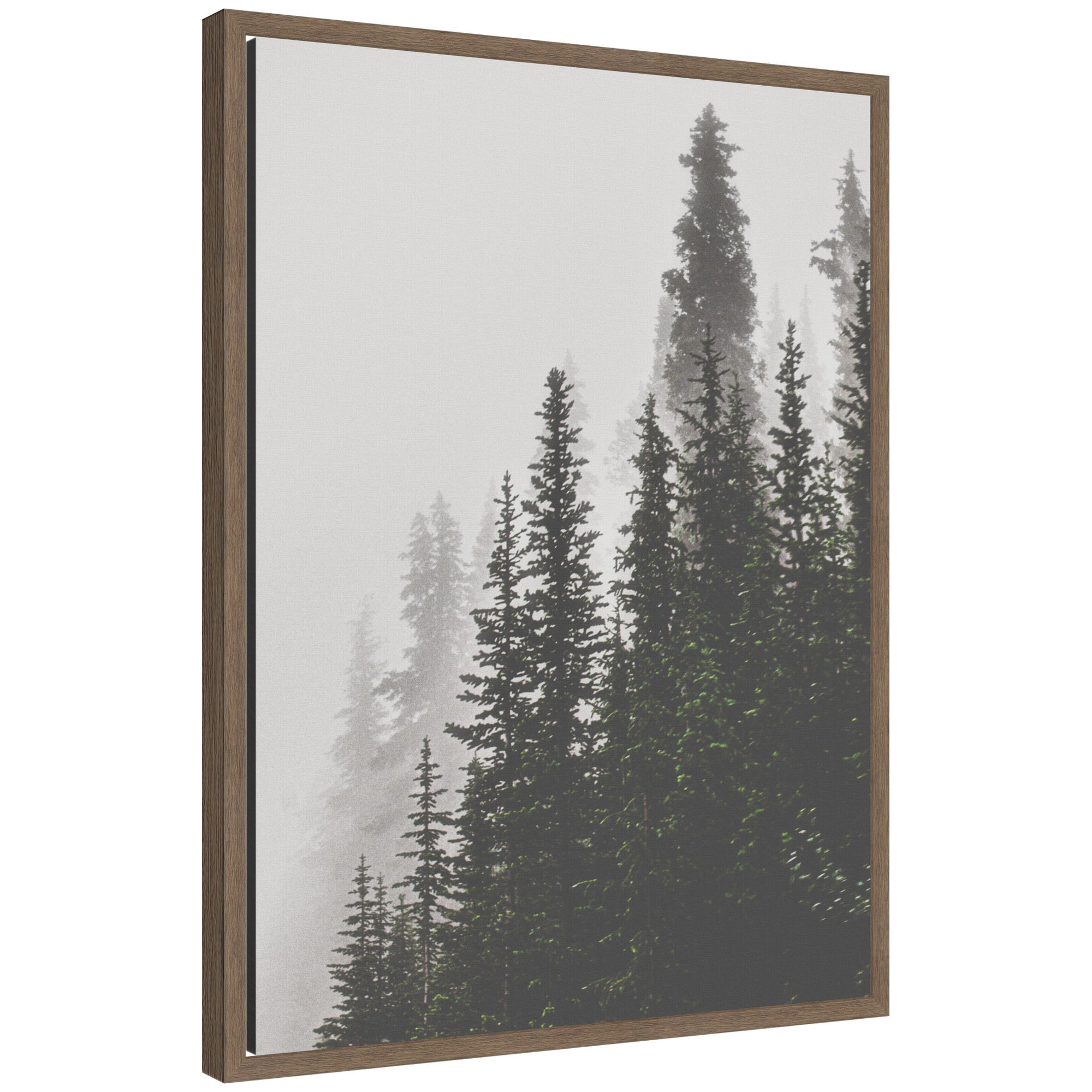 Framed canvas art showing tall pine trees emerging through thick fog in muted tones