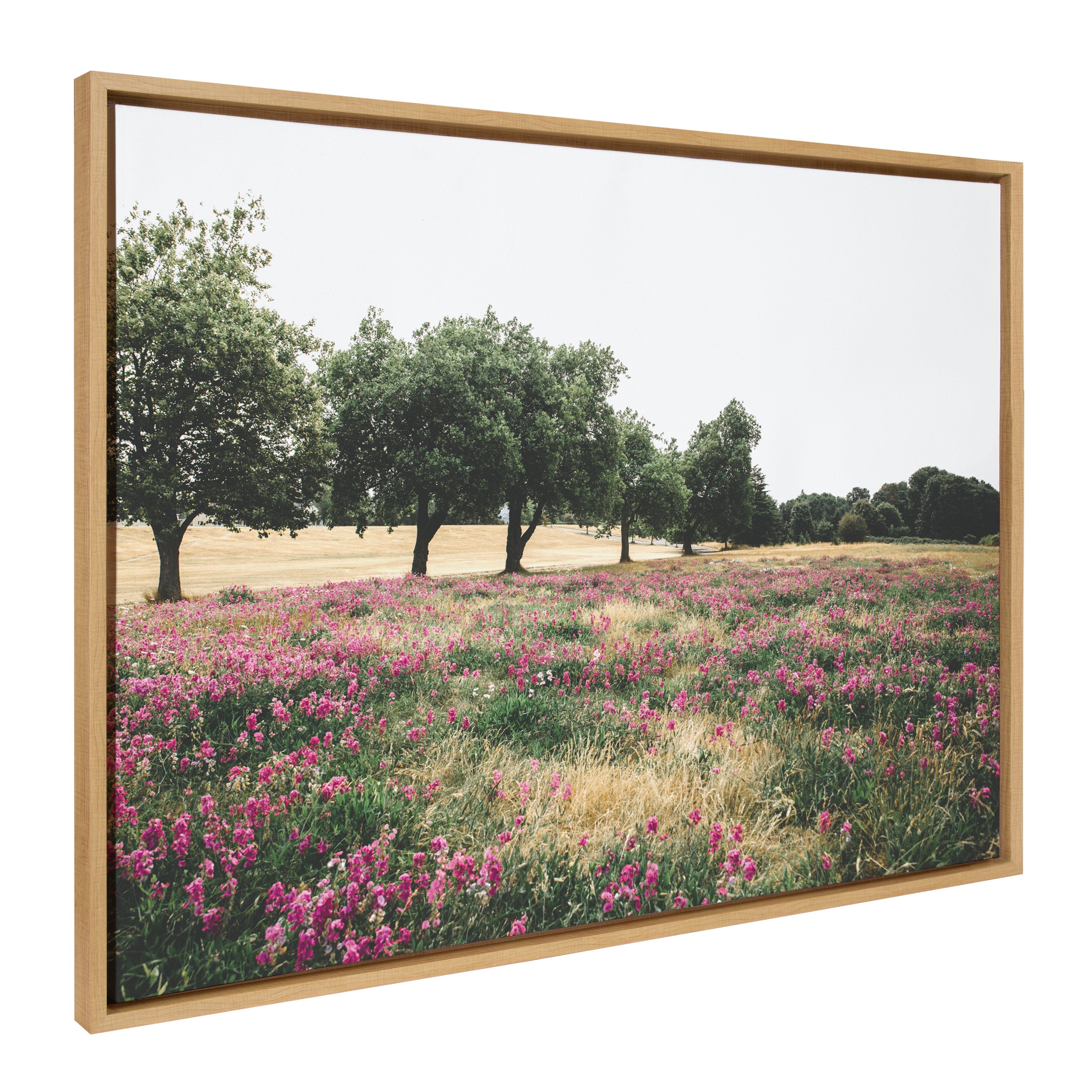 Sylvie Summer Lovin Framed Canvas by Patricia Hasz