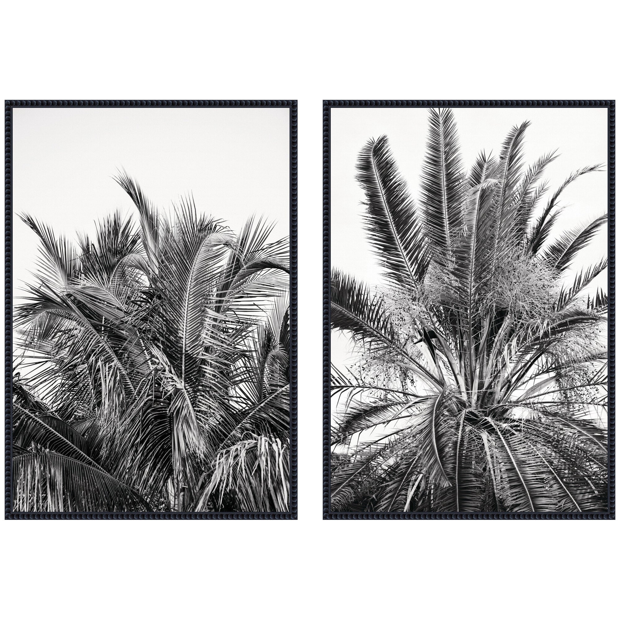 Two framed canvas prints titled Palms No.
13 and No.
15 by Alicia Bock featuring palm motifs in Sylvie Beaded frames.