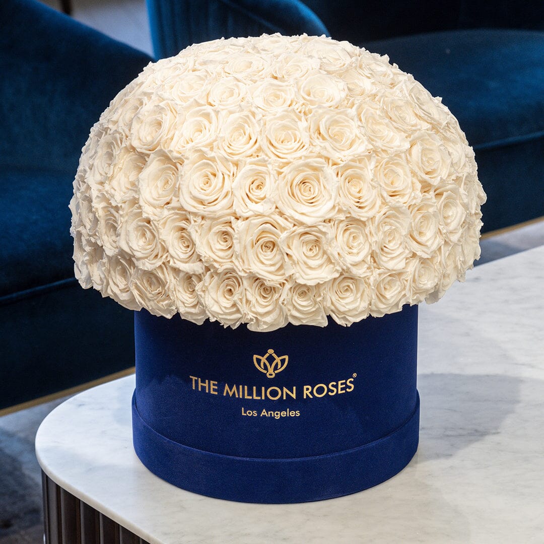 Supreme Royal Blue Suede Superdome Box by The Million Roses - product image 5 for Resin Society