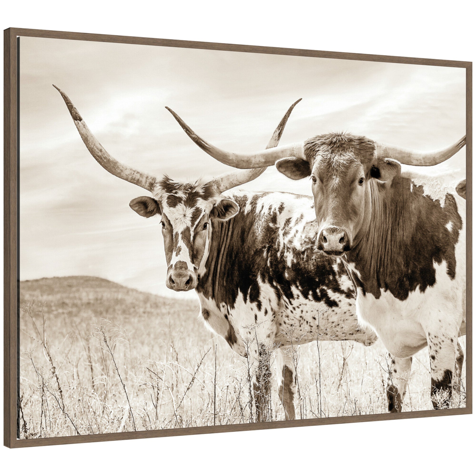 Framed canvas wall art showing sepia-toned Texas Longhorn cattle in a pasture.