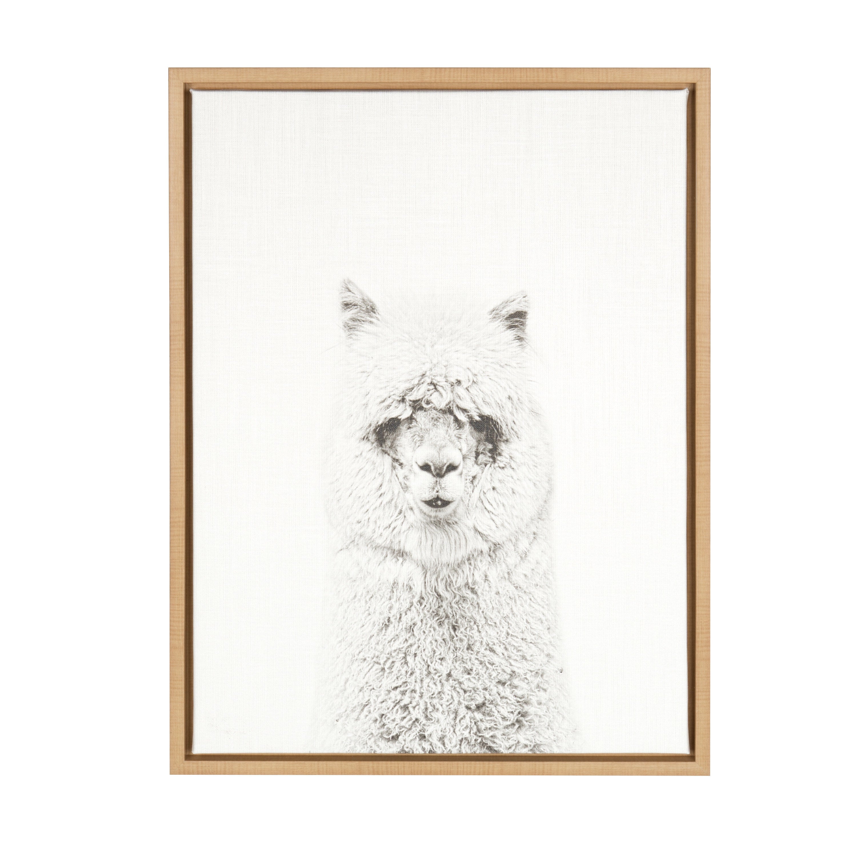 Sylvie Hairy Alpaca Framed Canvas by Simon Te of Tai Prints
