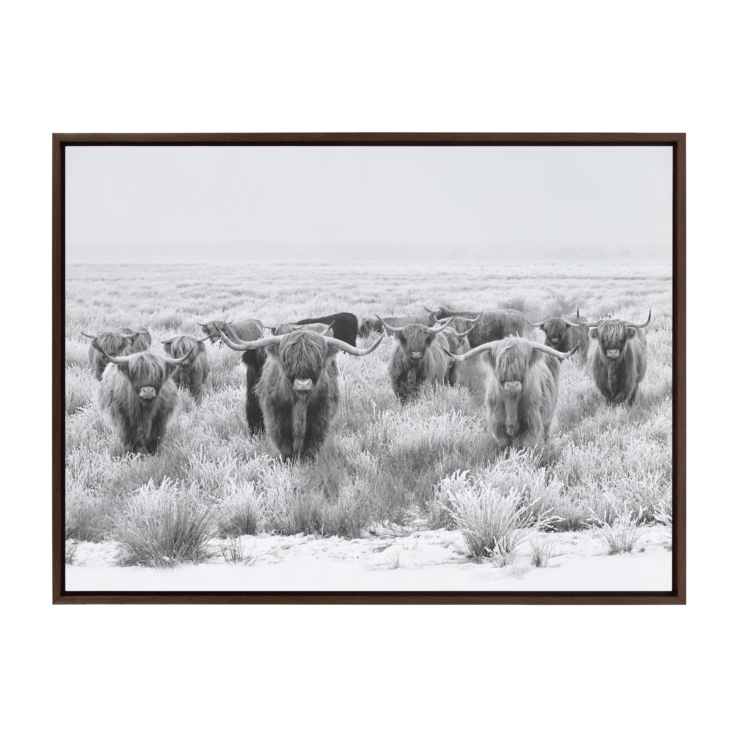 Sylvie Herd of Highland Cows Black and White Framed Canvas by The