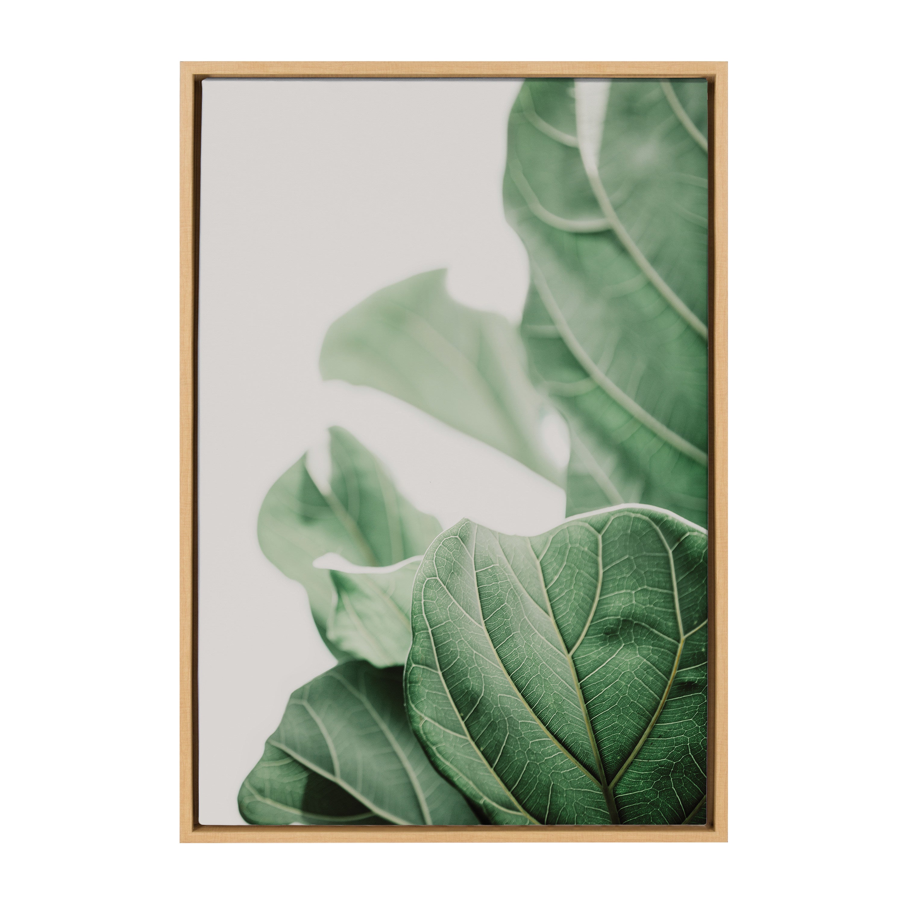 Sylvie Plant Study 7 Framed Canvas by kateandlaurel - product image 19 for Resin Society