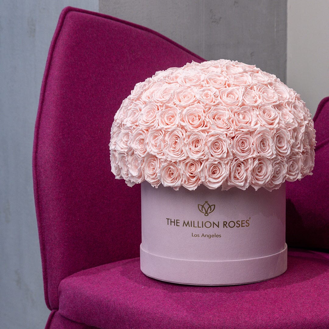Supreme Light Pink Suede Superdome Box by The Million Roses - product image 5 for Resin Society