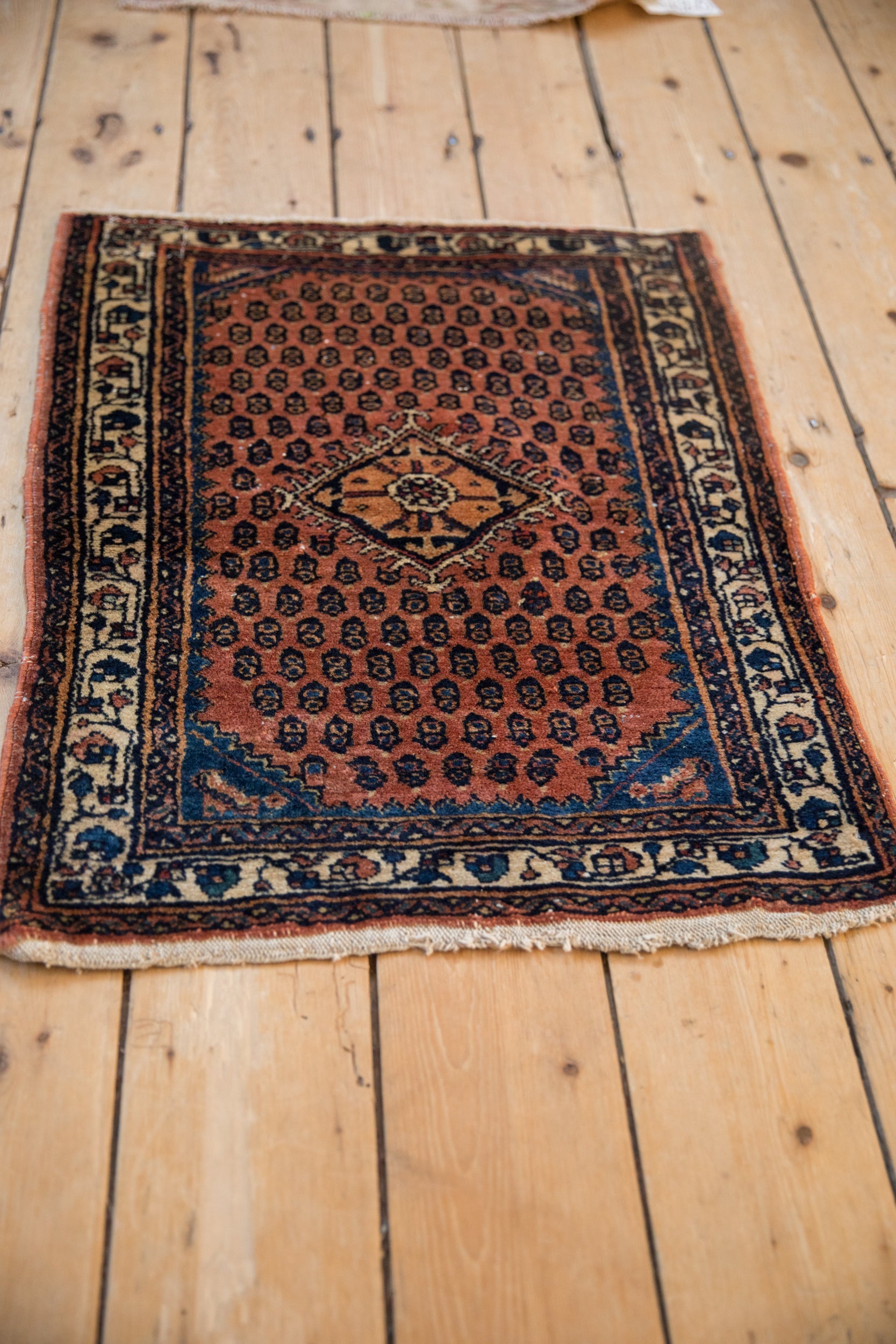 2x2.5 Engelas Rug Mat by Old New House® - product image 7 for Resin Society