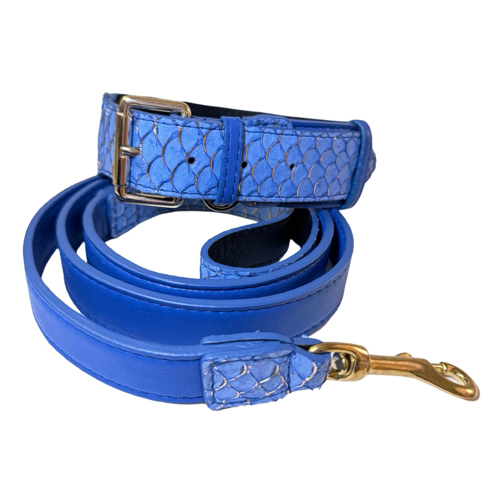 Malibu Classic Collar & Leash Set with blue and gold Tilapia and Italian leather