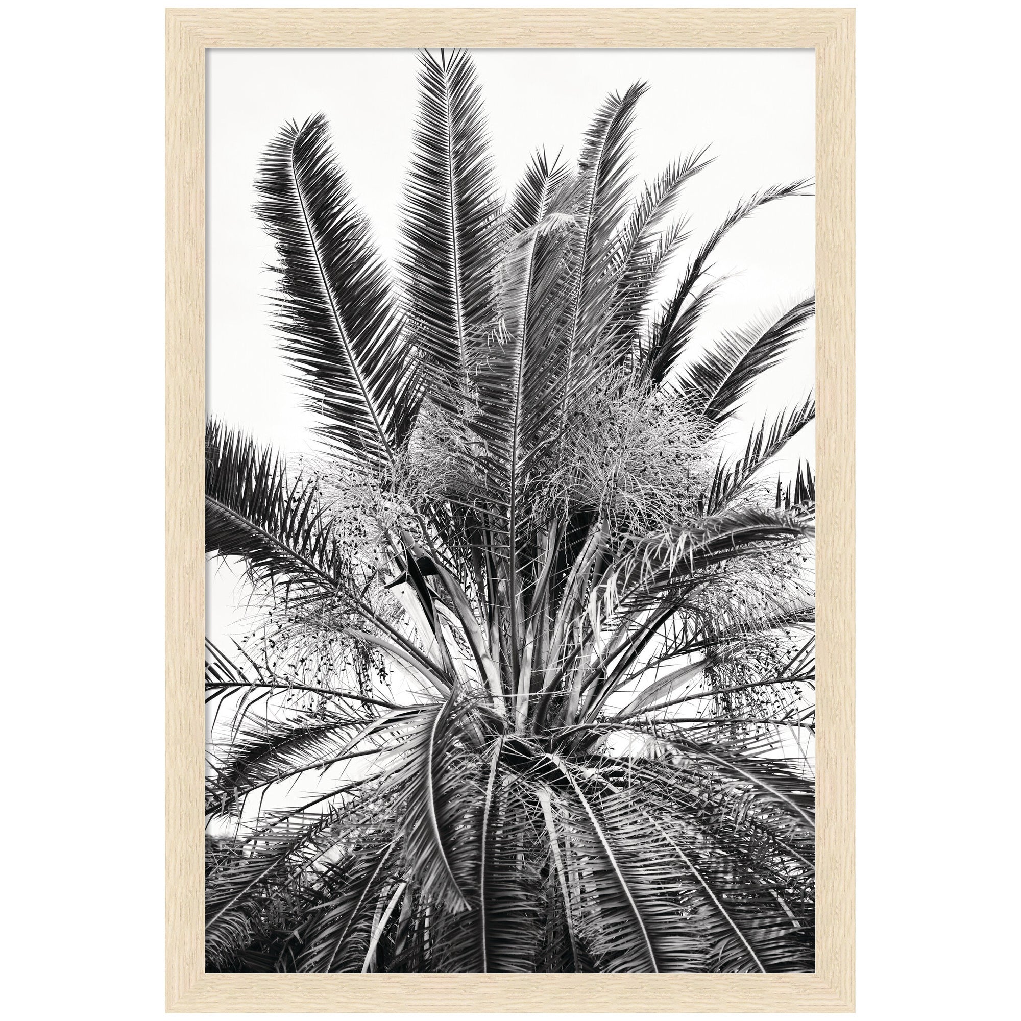 No 15 by Alicia Bock Framed Wall Art Print showing a person sitting near a window with plants and warm woodgrain stripe blonde frame