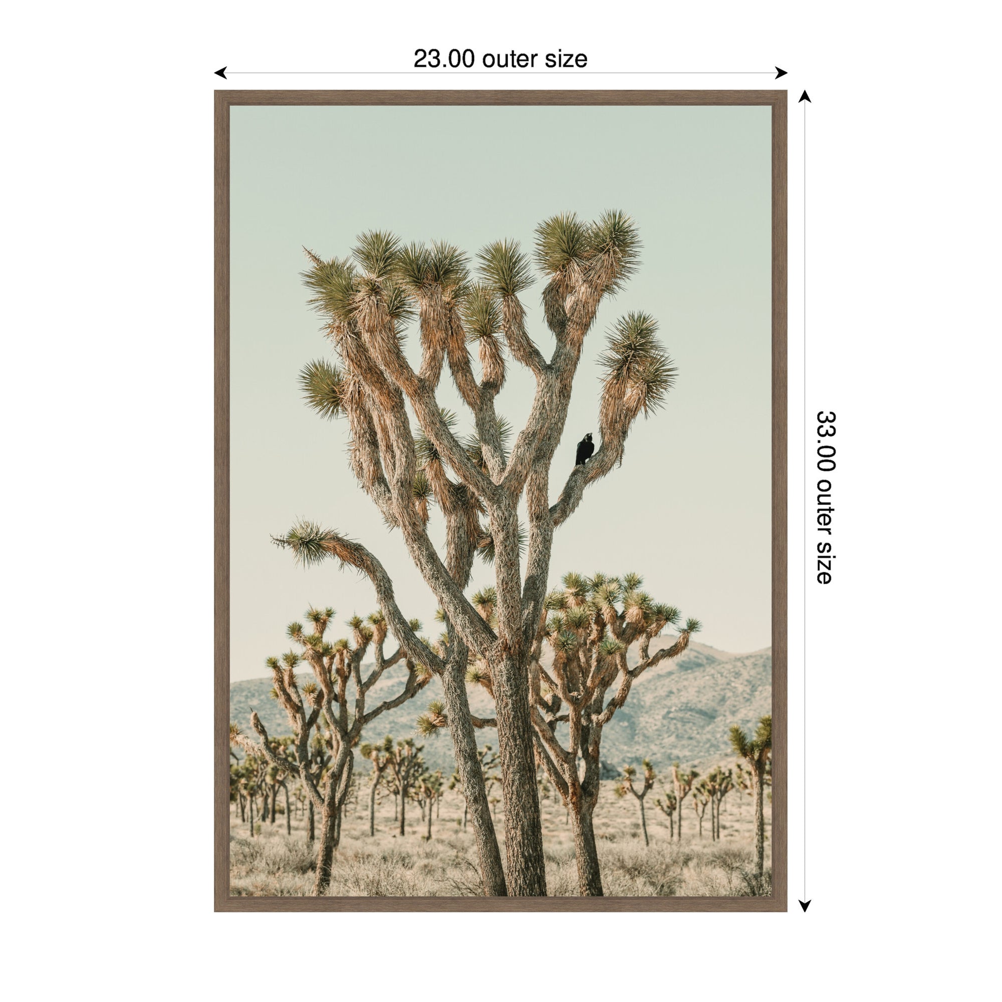 Joshua Tree With Crow by Alicia Bock Framed Canvas Wall Art Print