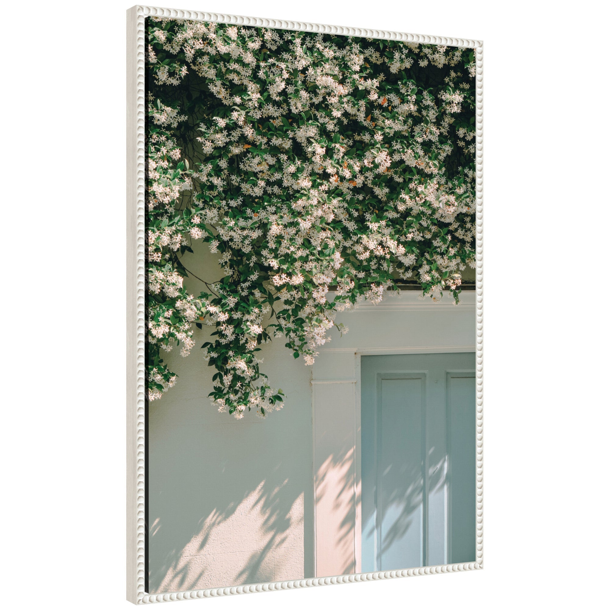 Framed canvas wall art of white jasmine blossoms over a garden wall with a light blue door by Alicia Bock