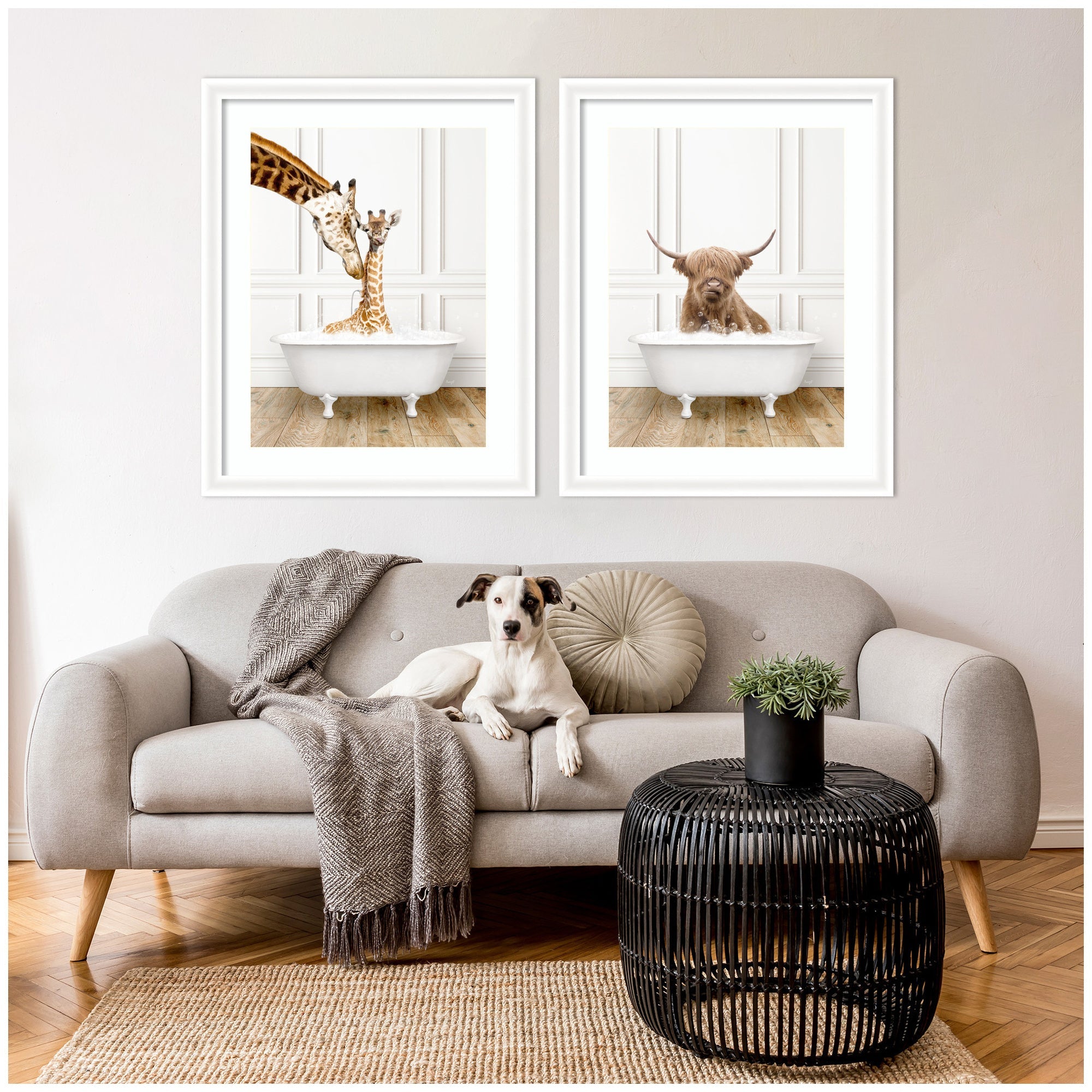 Highland Cow & Giraffe in Traditional Bathtub 2 Piece Framed Wall Art Print Set by Amy Peterson