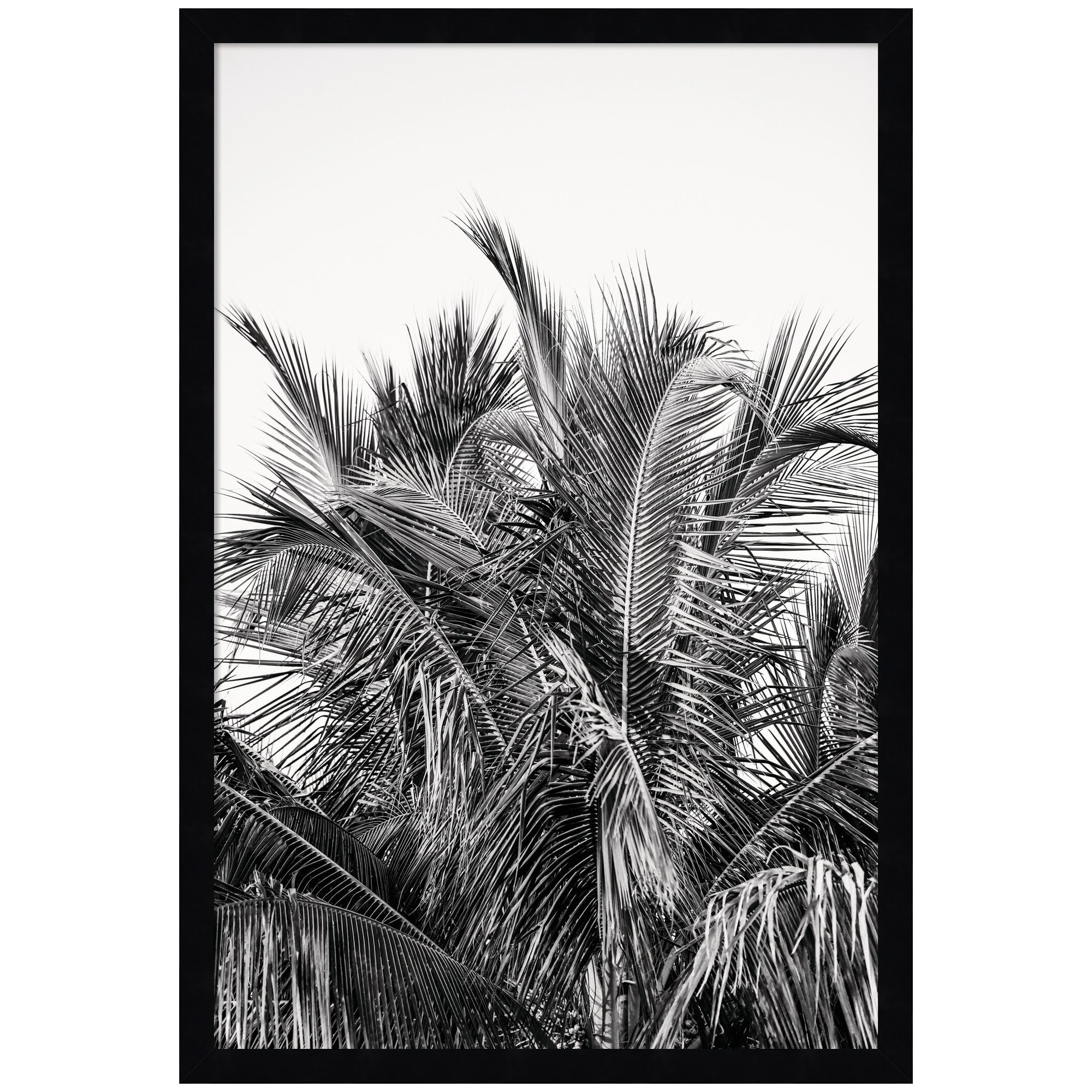 No 13 by Alicia Bock Framed Wall Art Print